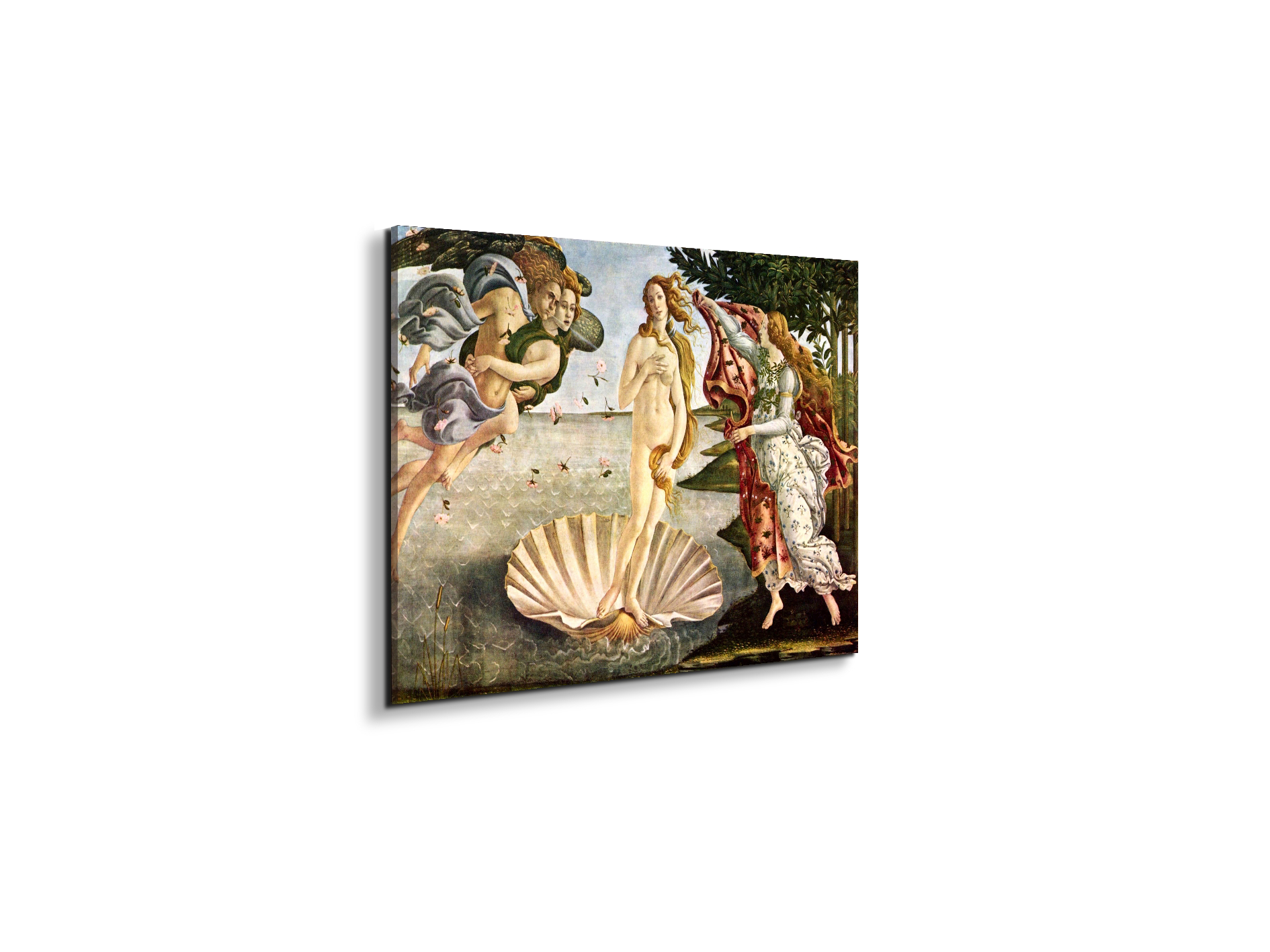 birth-of-venusas93256-