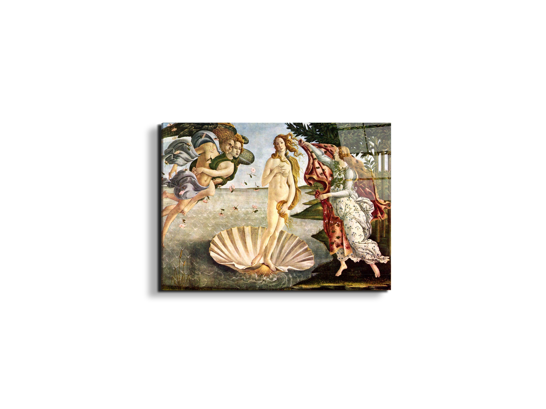 birth-of-venusas93256-