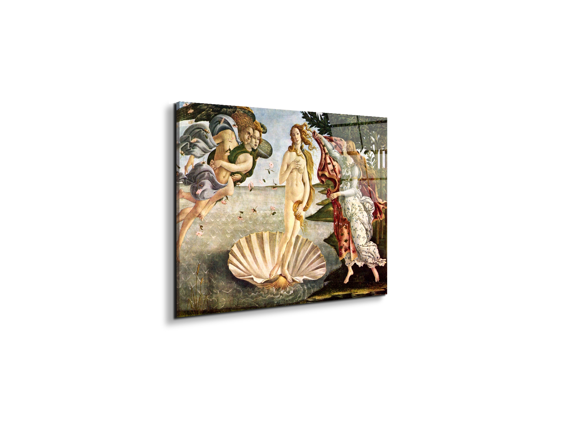 birth-of-venusas93256-