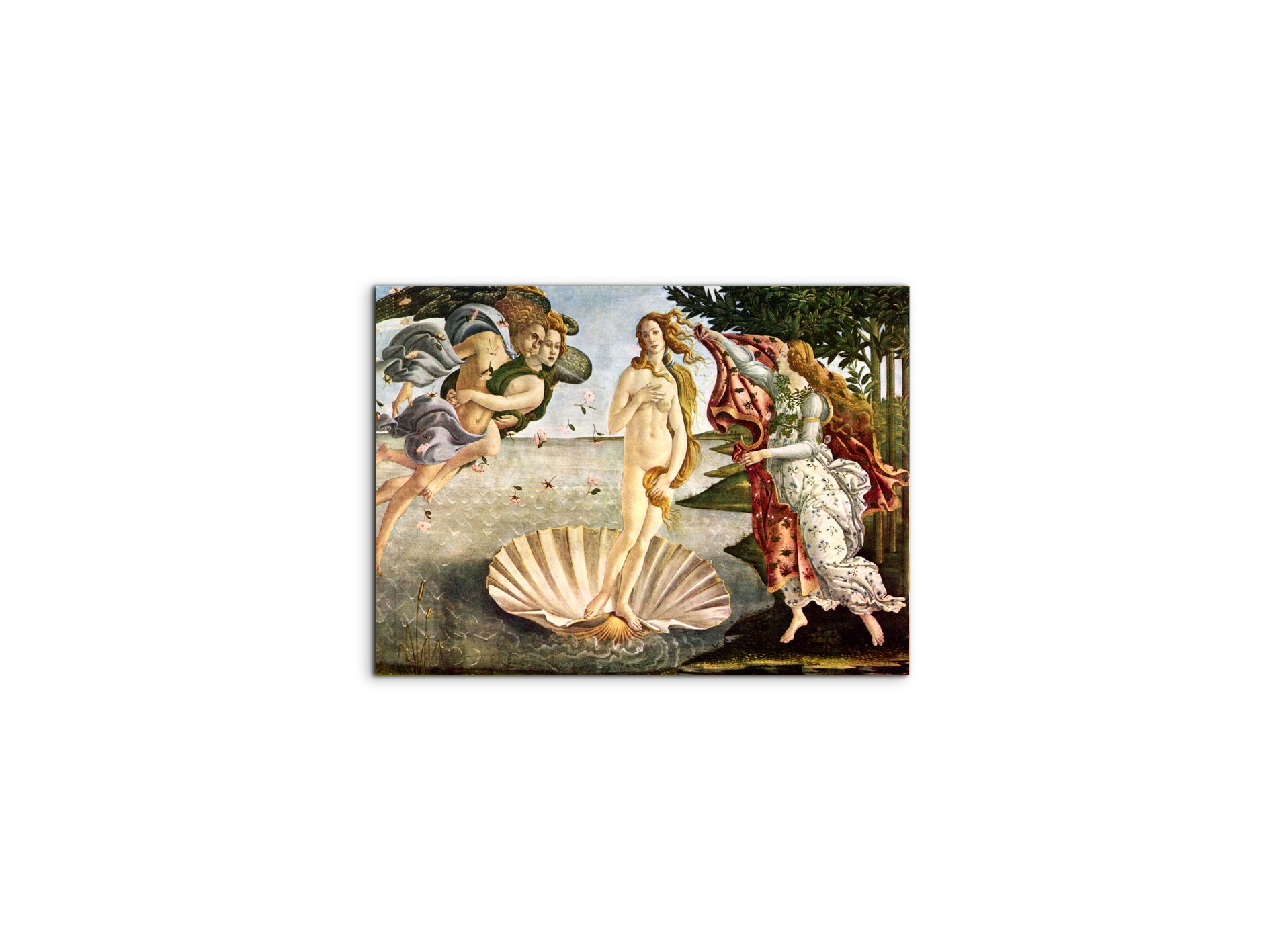 birth-of-venusas93256-