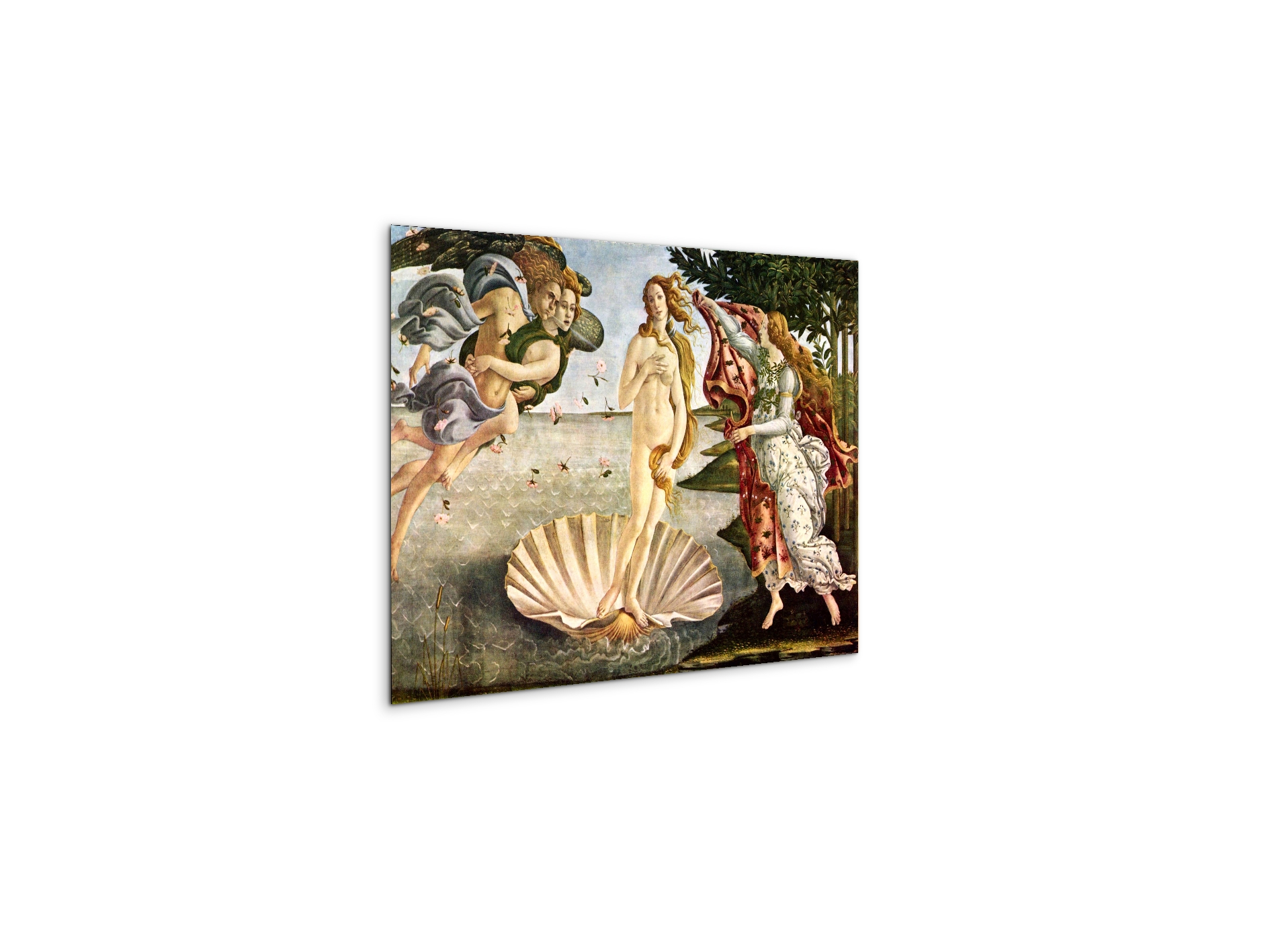 birth-of-venusas93256-