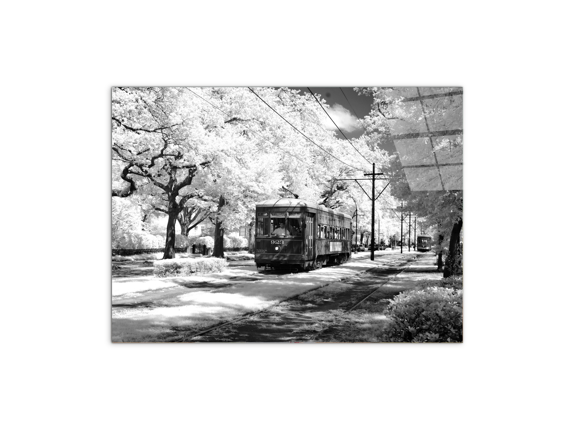 tramas93329-