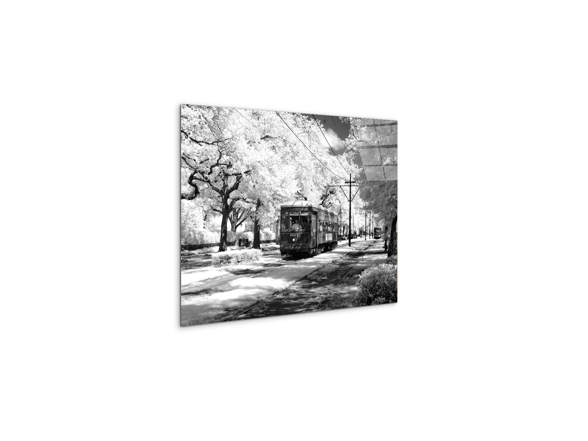 tramas93329-