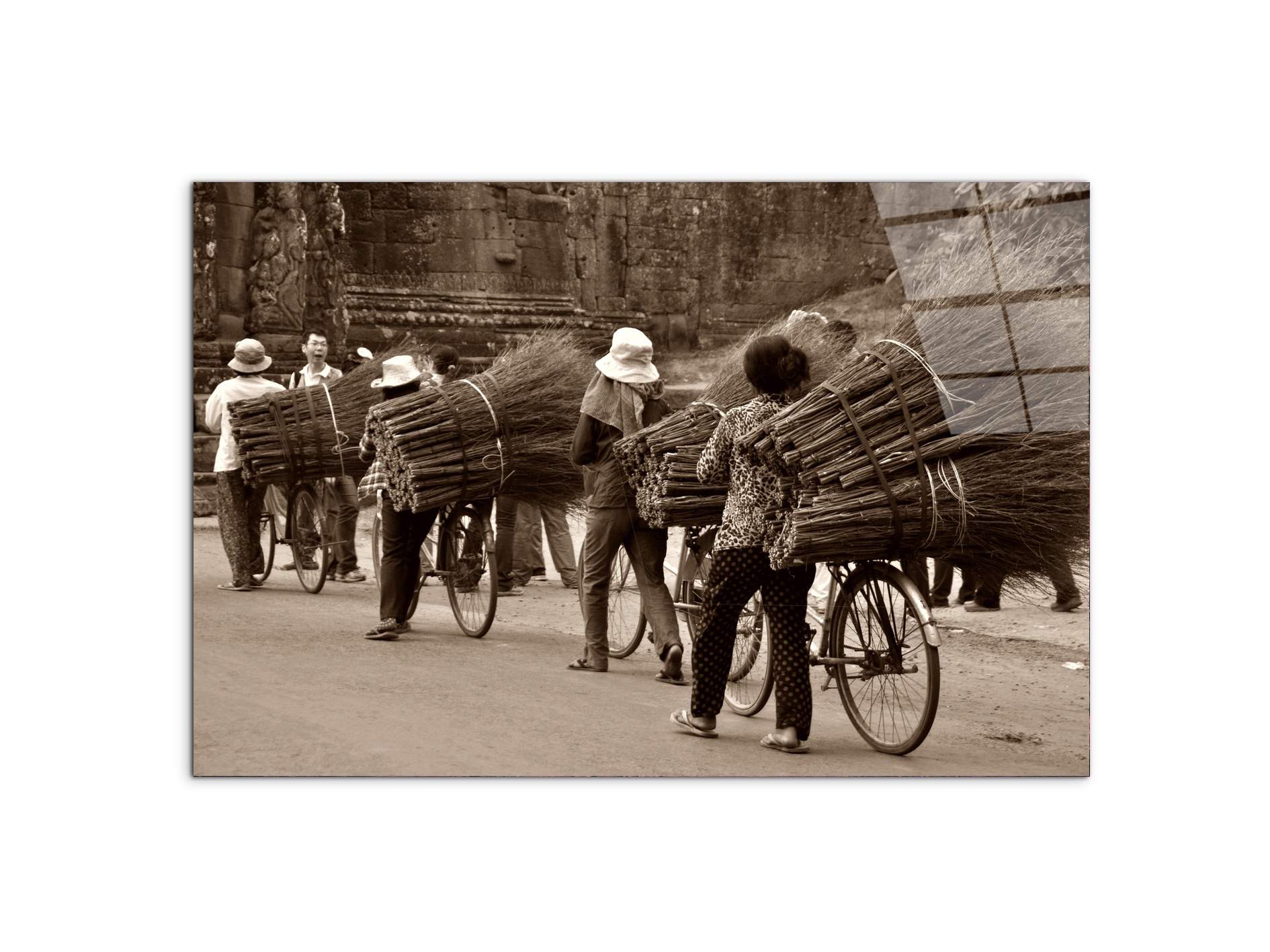 cambogiaas93364-