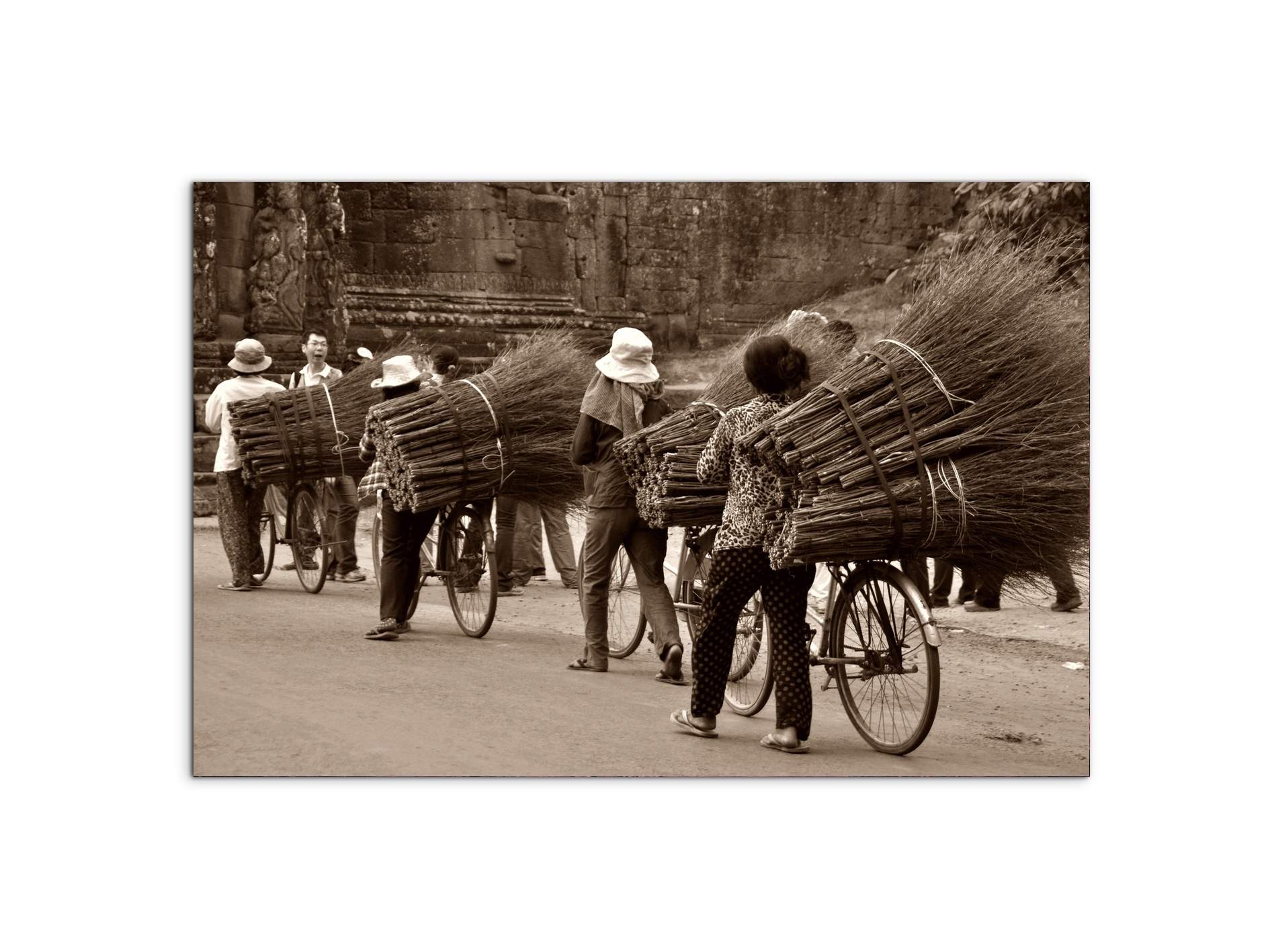 cambogiaas93364-