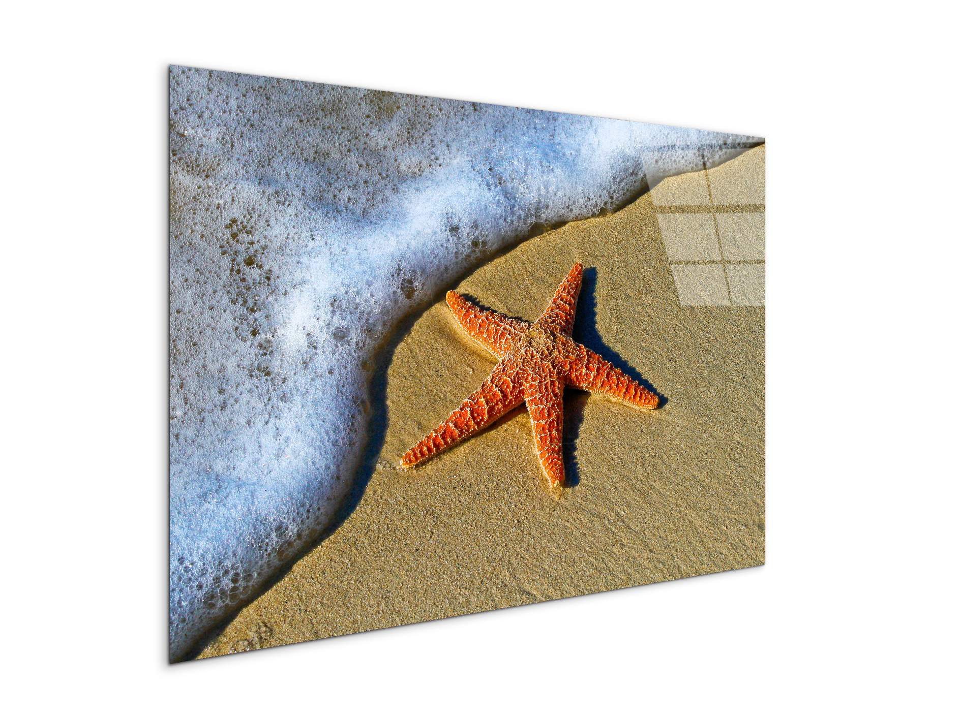 starfish-on-the-beachas93400-