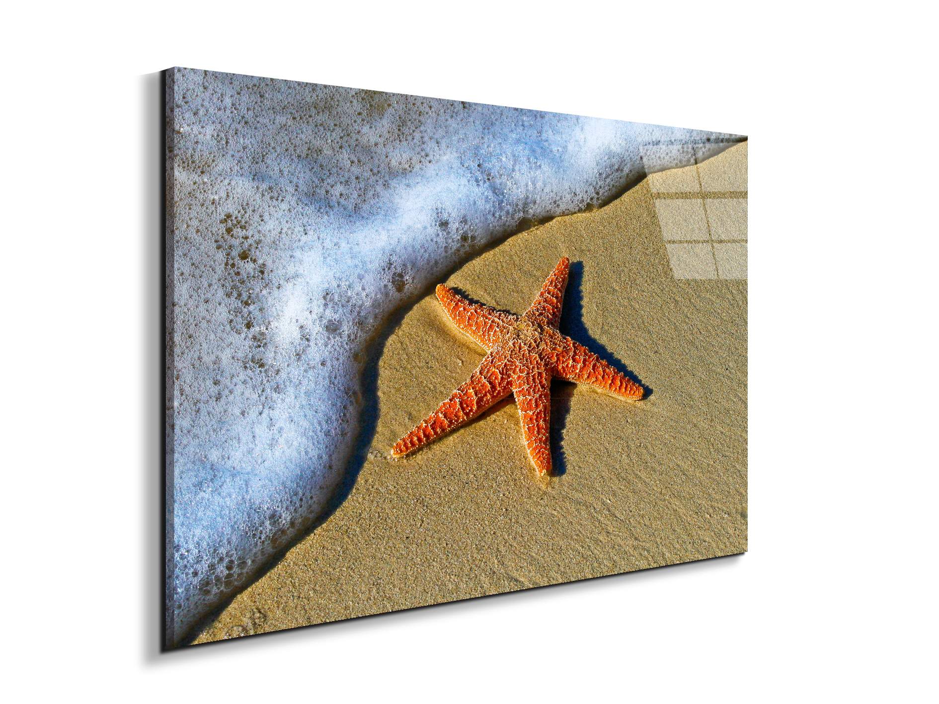 starfish-on-the-beachas93400-