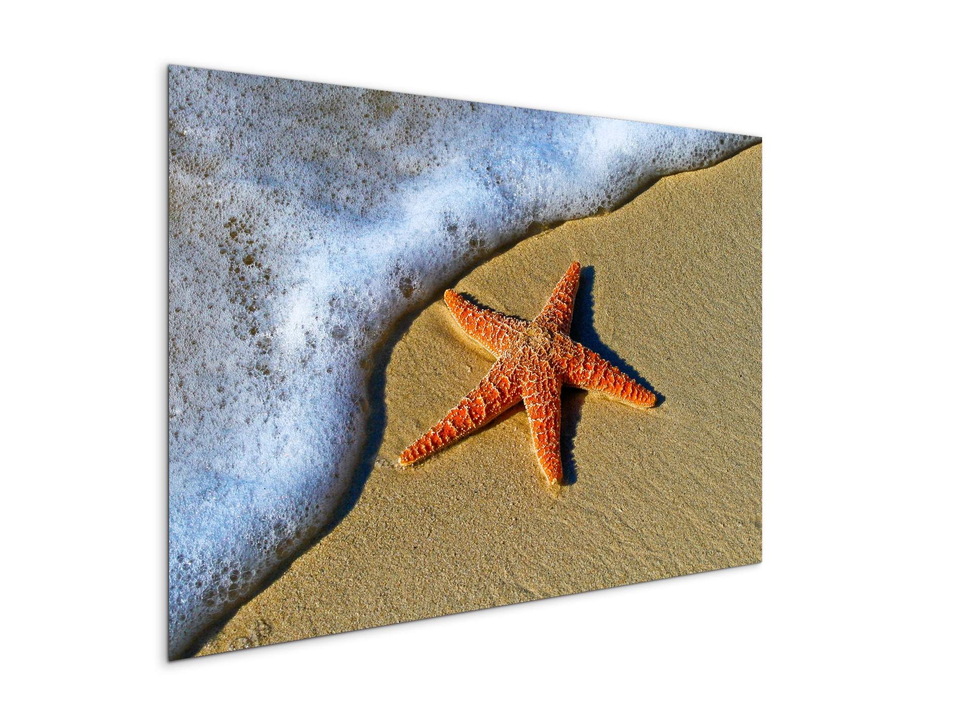 starfish-on-the-beachas93400-
