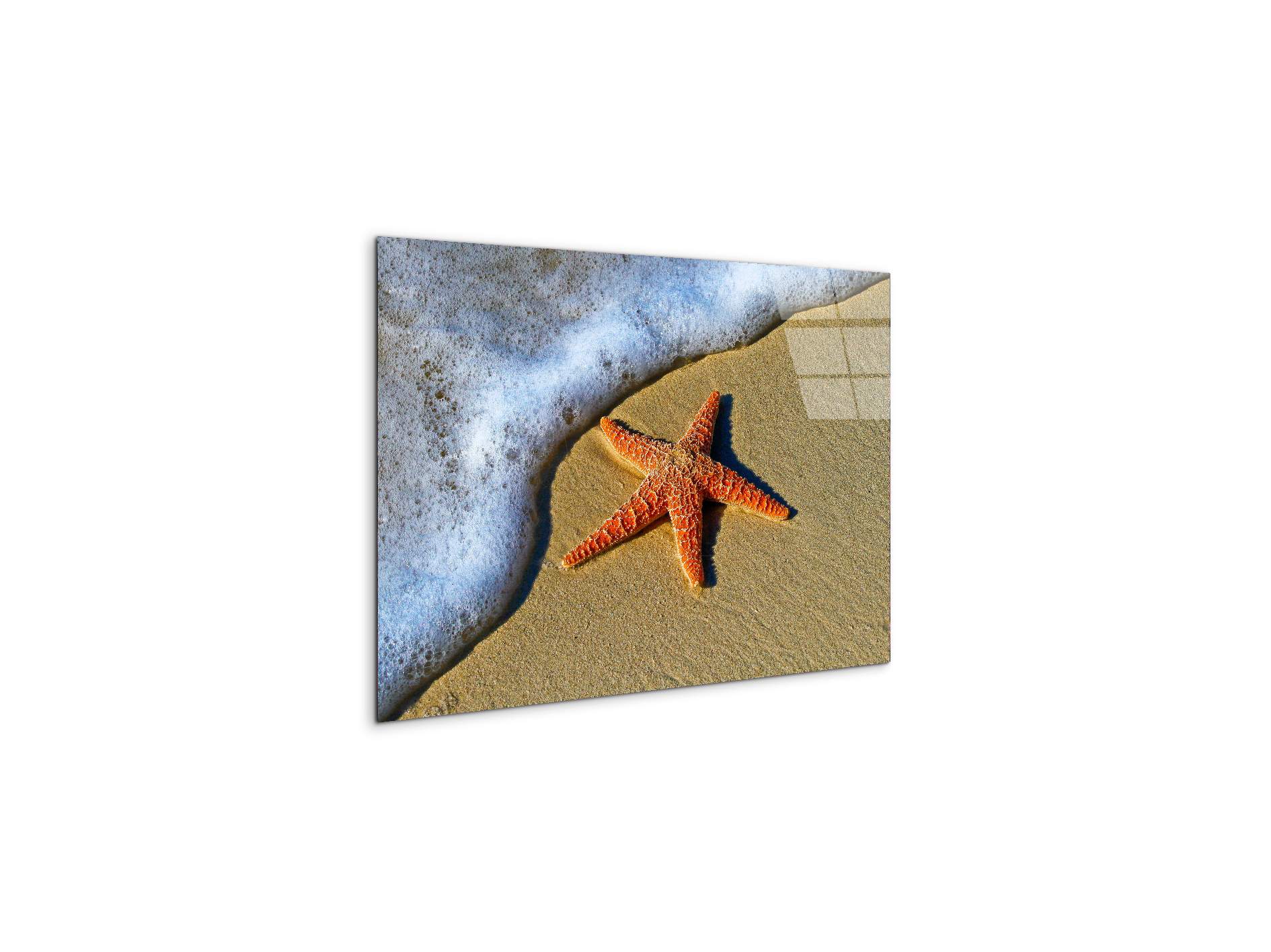 starfish-on-the-beachas93400-