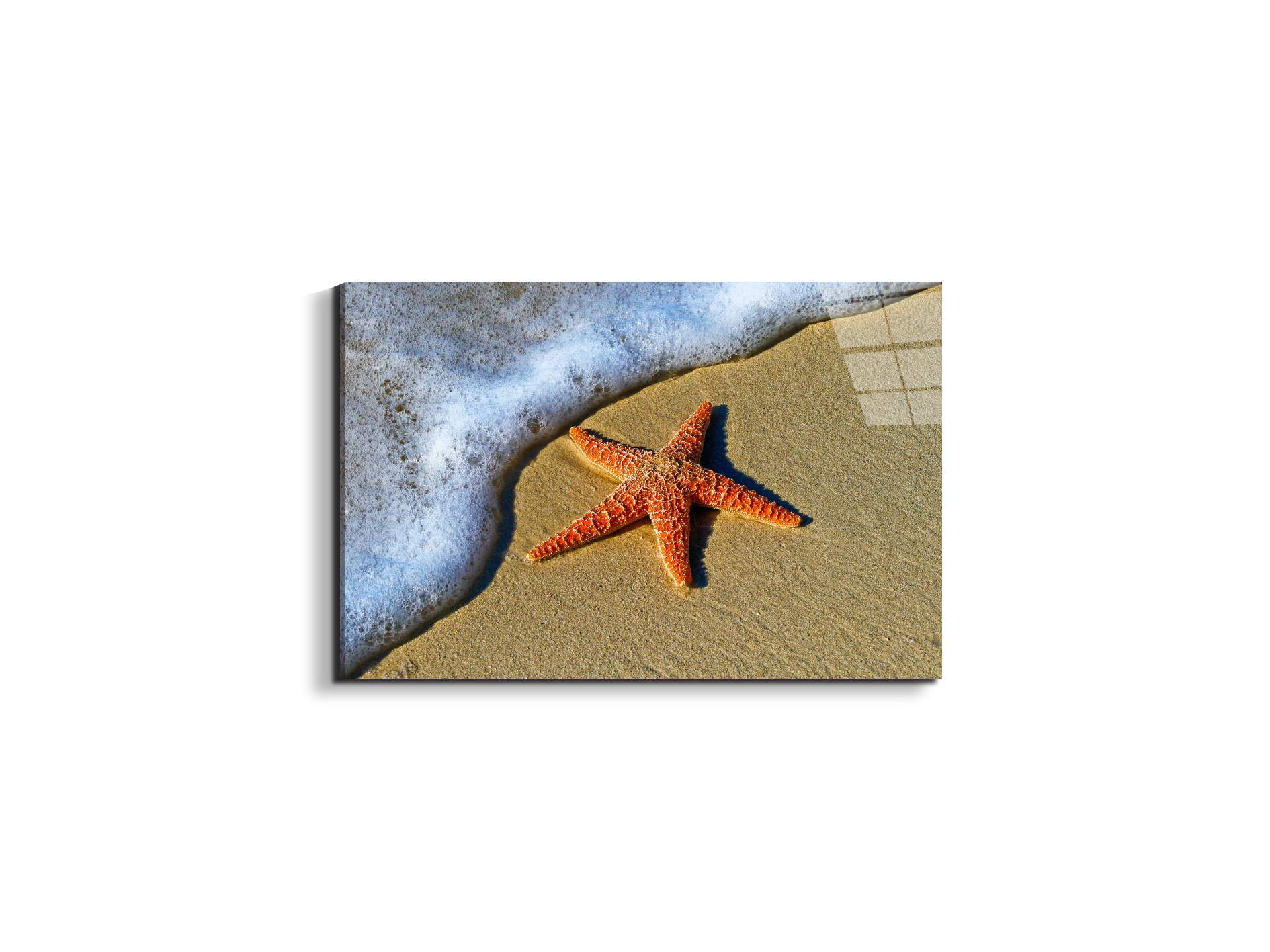 starfish-on-the-beachas93400-