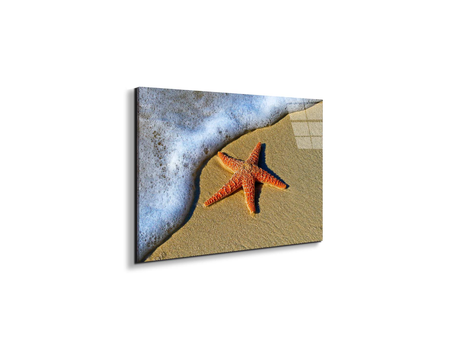 starfish-on-the-beachas93400-