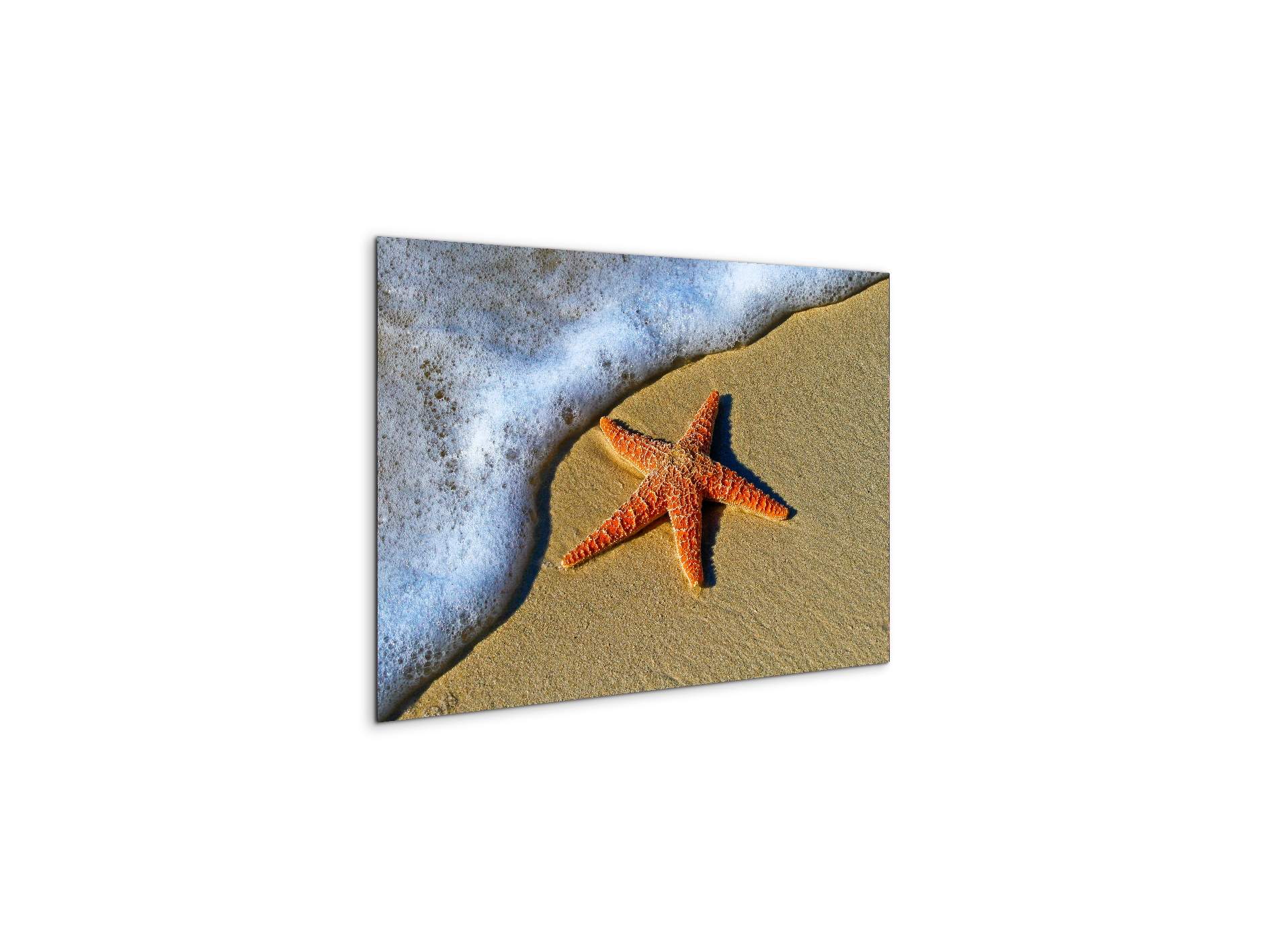 starfish-on-the-beachas93400-