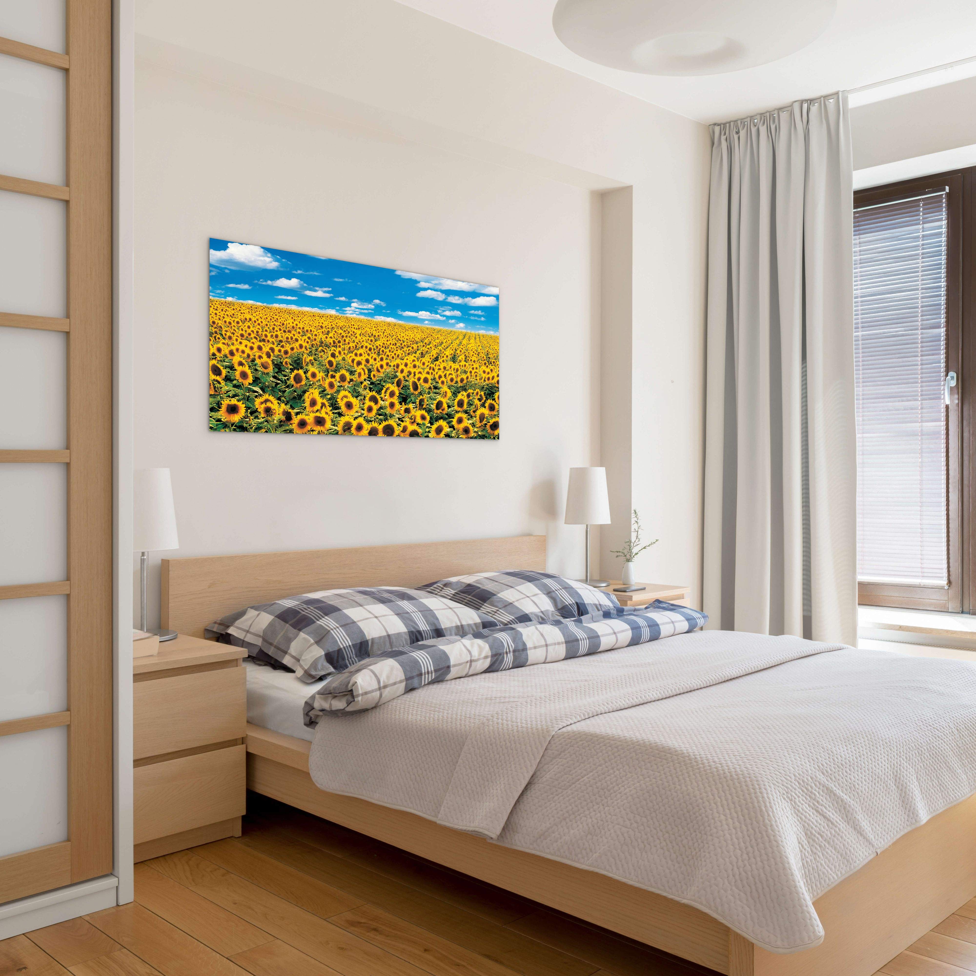 sunflowerec14546-