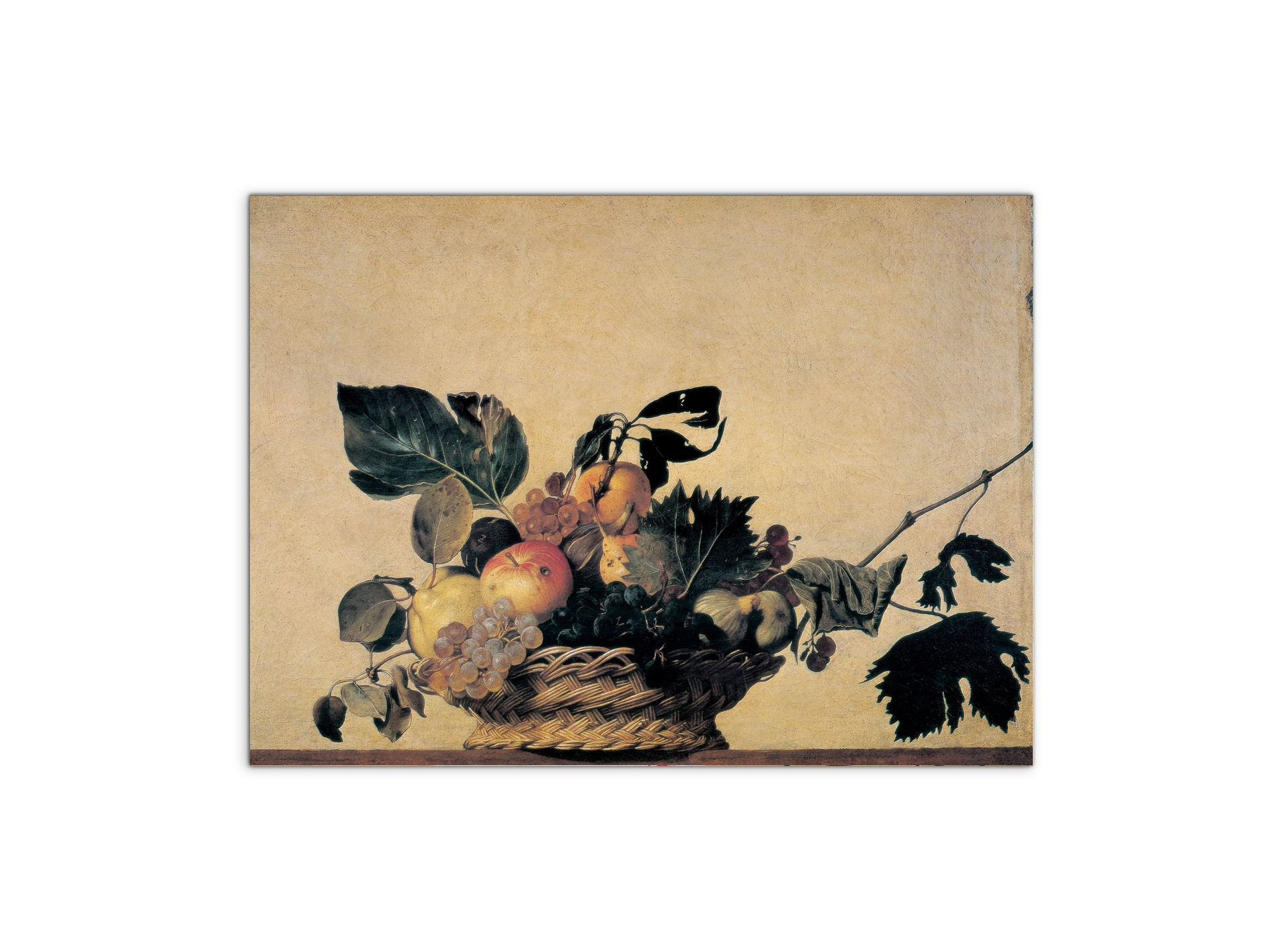 homage-to-caravaggio-fruitec14958-