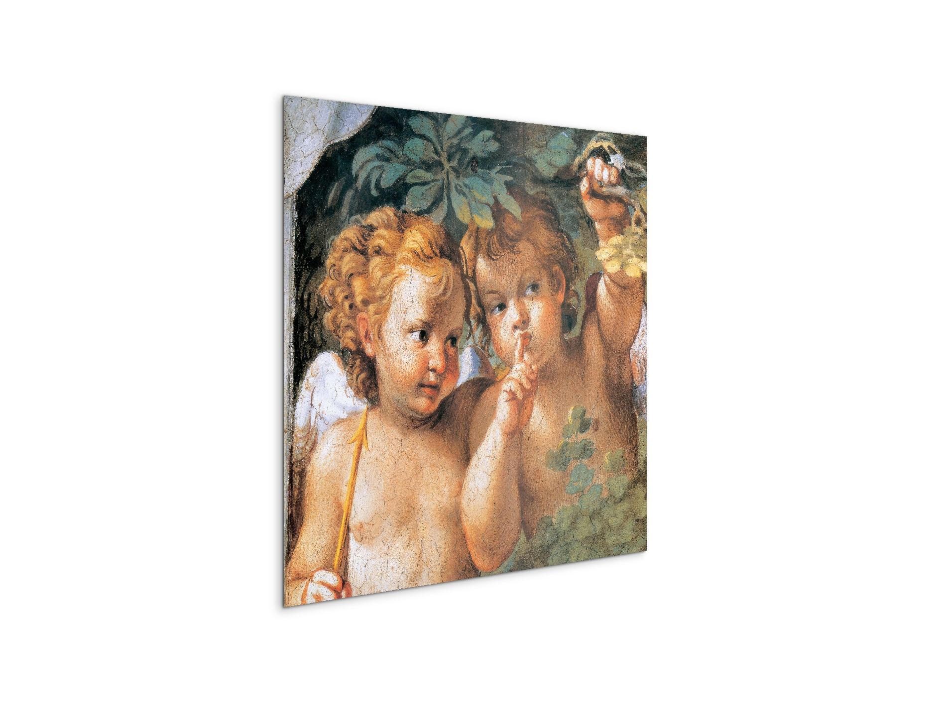 homage-to-carracci-angelsec14969-