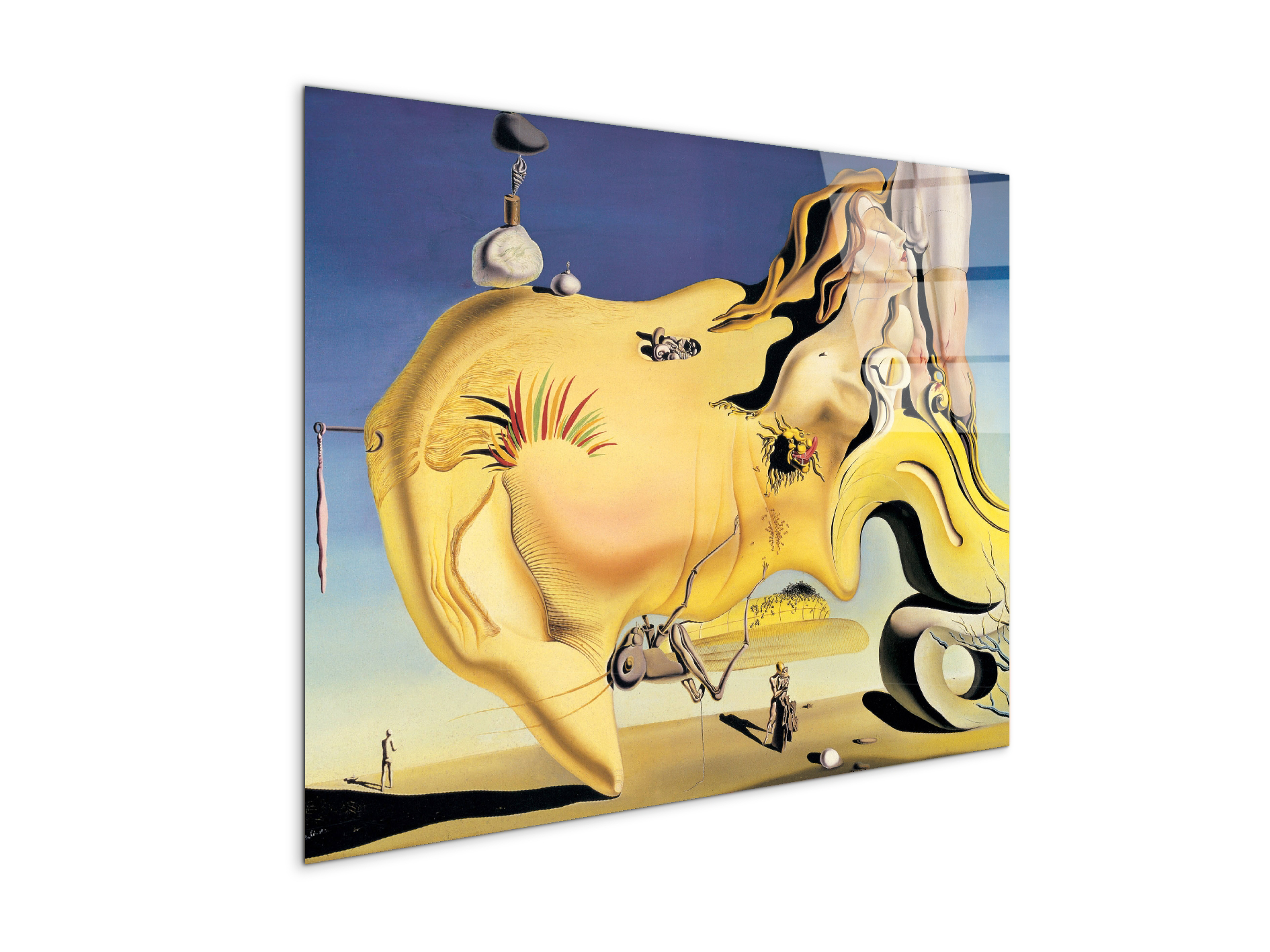 homage-to-salvador-the-great-masturbatorec15134-#materiale_CrystalArt/dimensioni_77,5x58