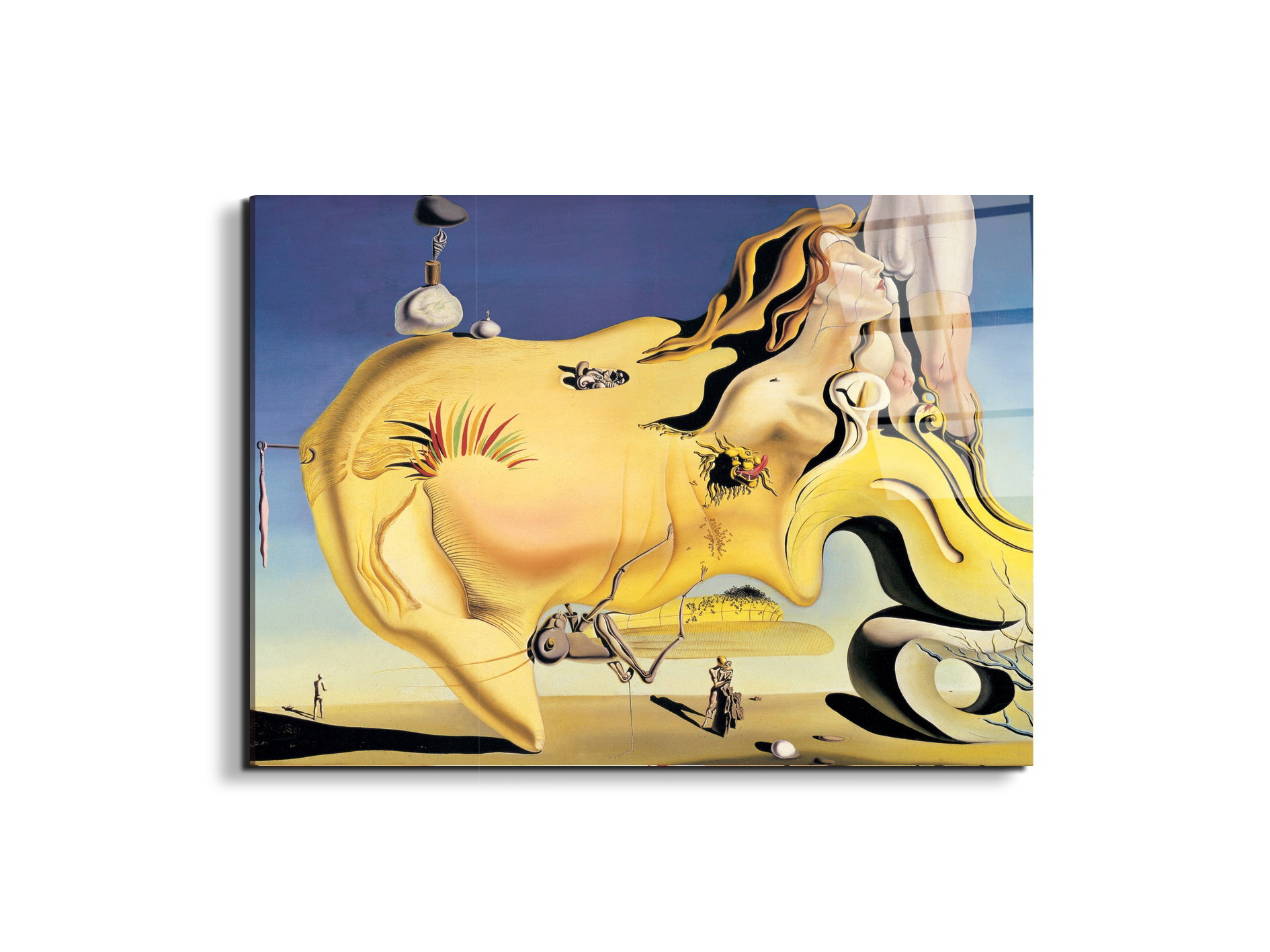 homage-to-salvador-the-great-masturbatorec15134-#materiale_EarthArt Total Gloss/dimensioni_77,5x58