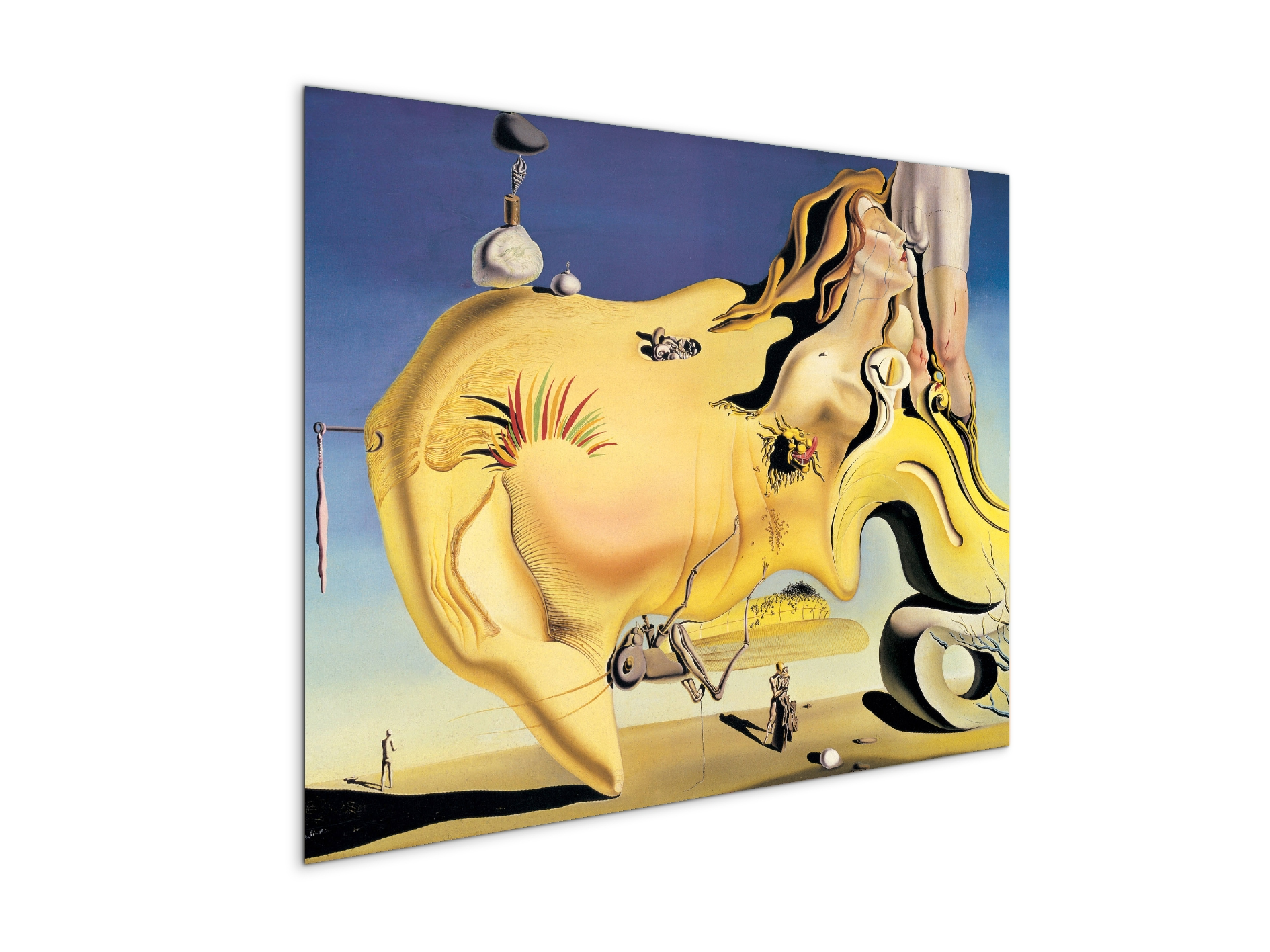 homage-to-salvador-the-great-masturbatorec15134-#materiale_MetalArt Materic/dimensioni_77,5x58