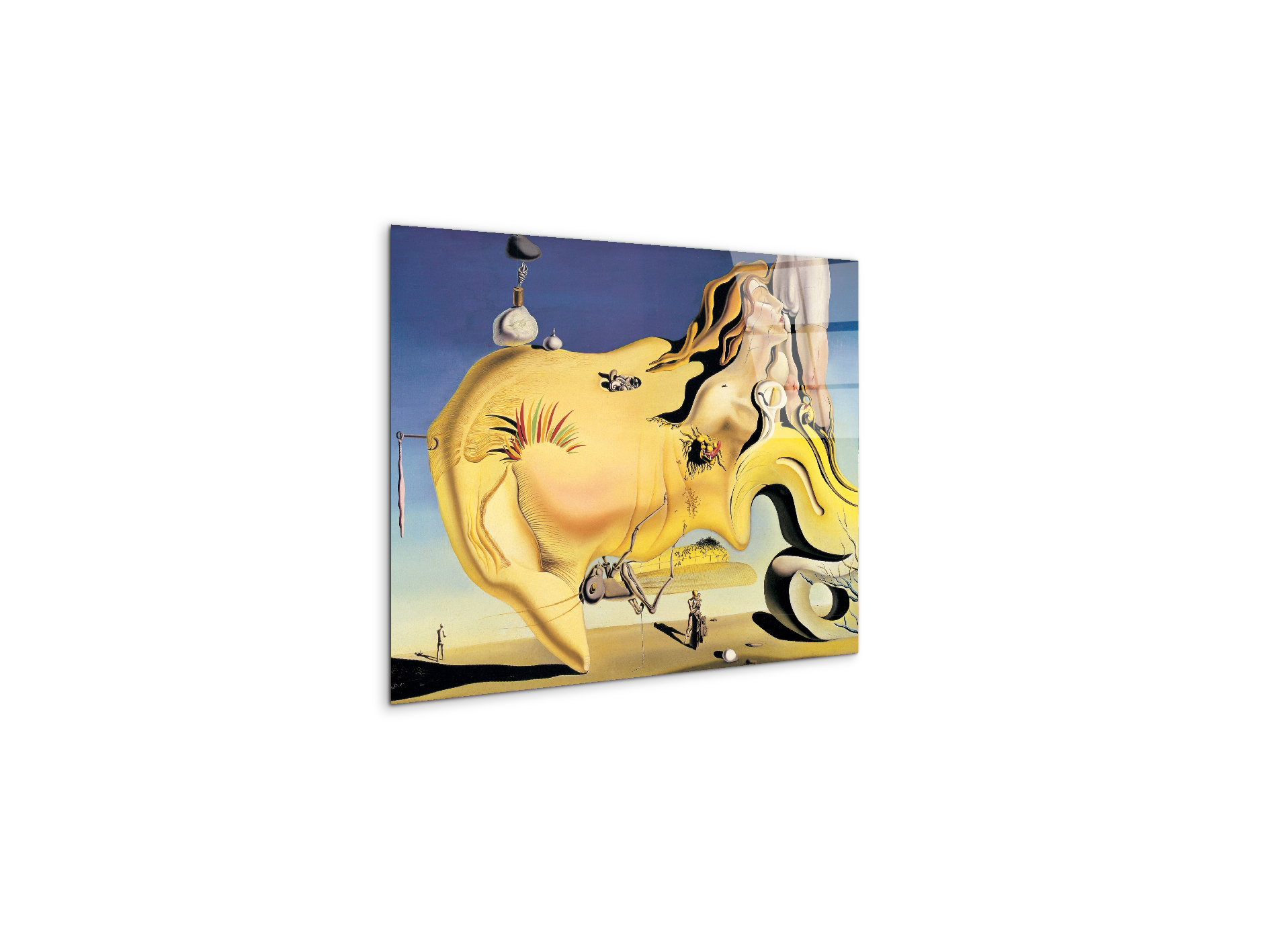 homage-to-salvador-the-great-masturbatorec15134-#materiale_CrystalArt/dimensioni_50x37,42