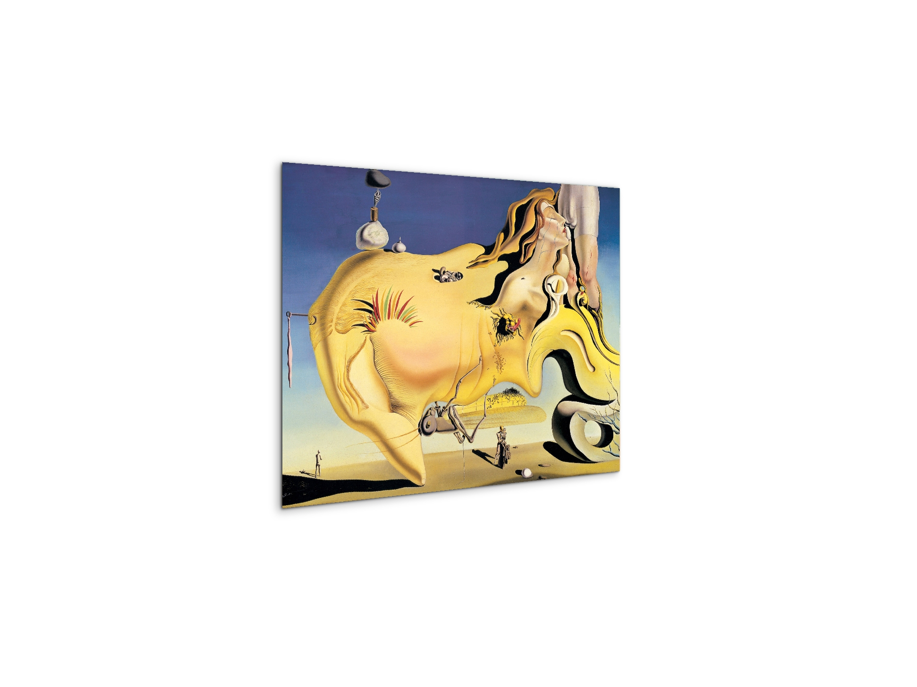 homage-to-salvador-the-great-masturbatorec15134-#materiale_MetalArt Materic/dimensioni_50x37,42