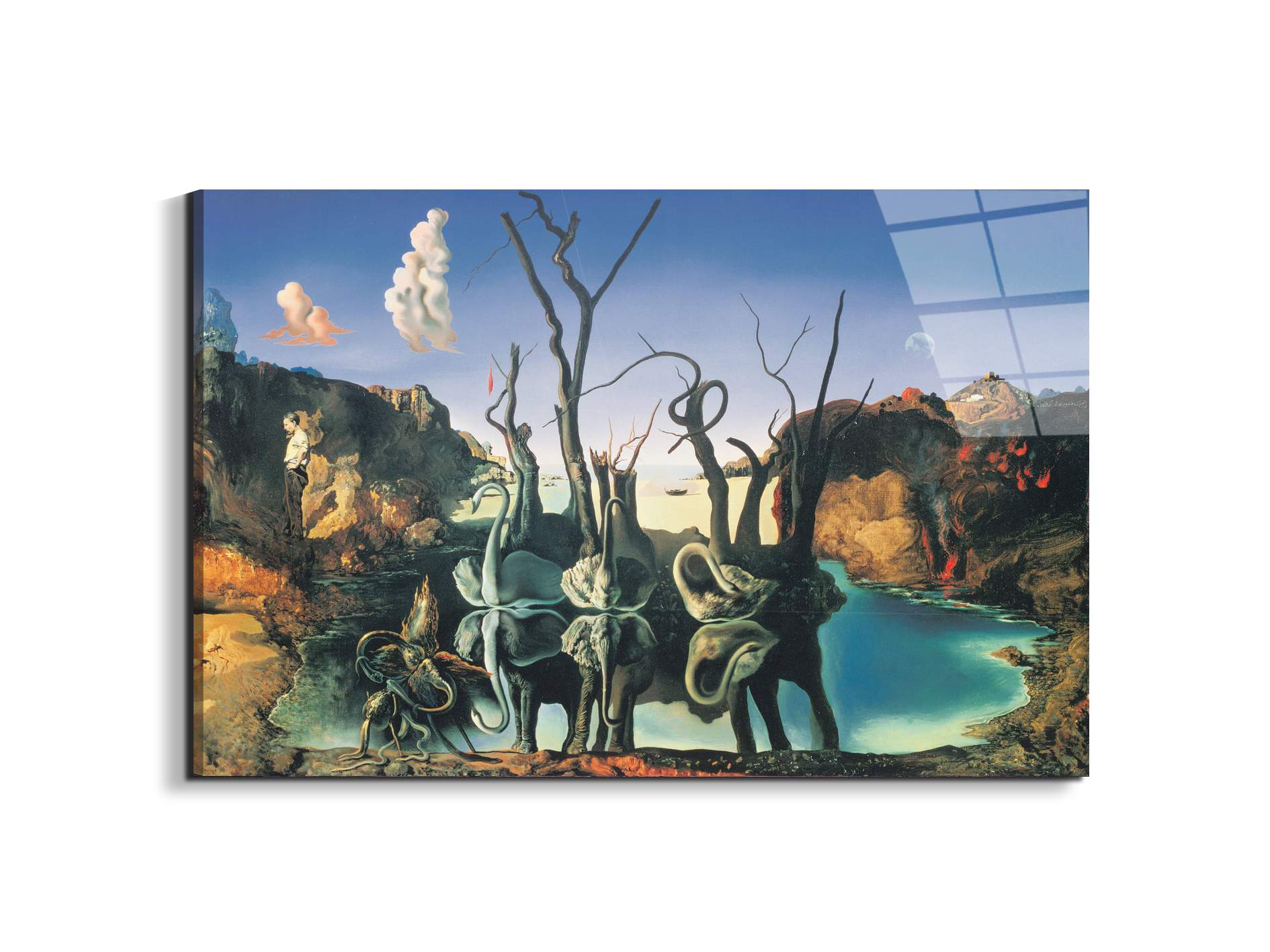 homage-to-salvadorec15135-