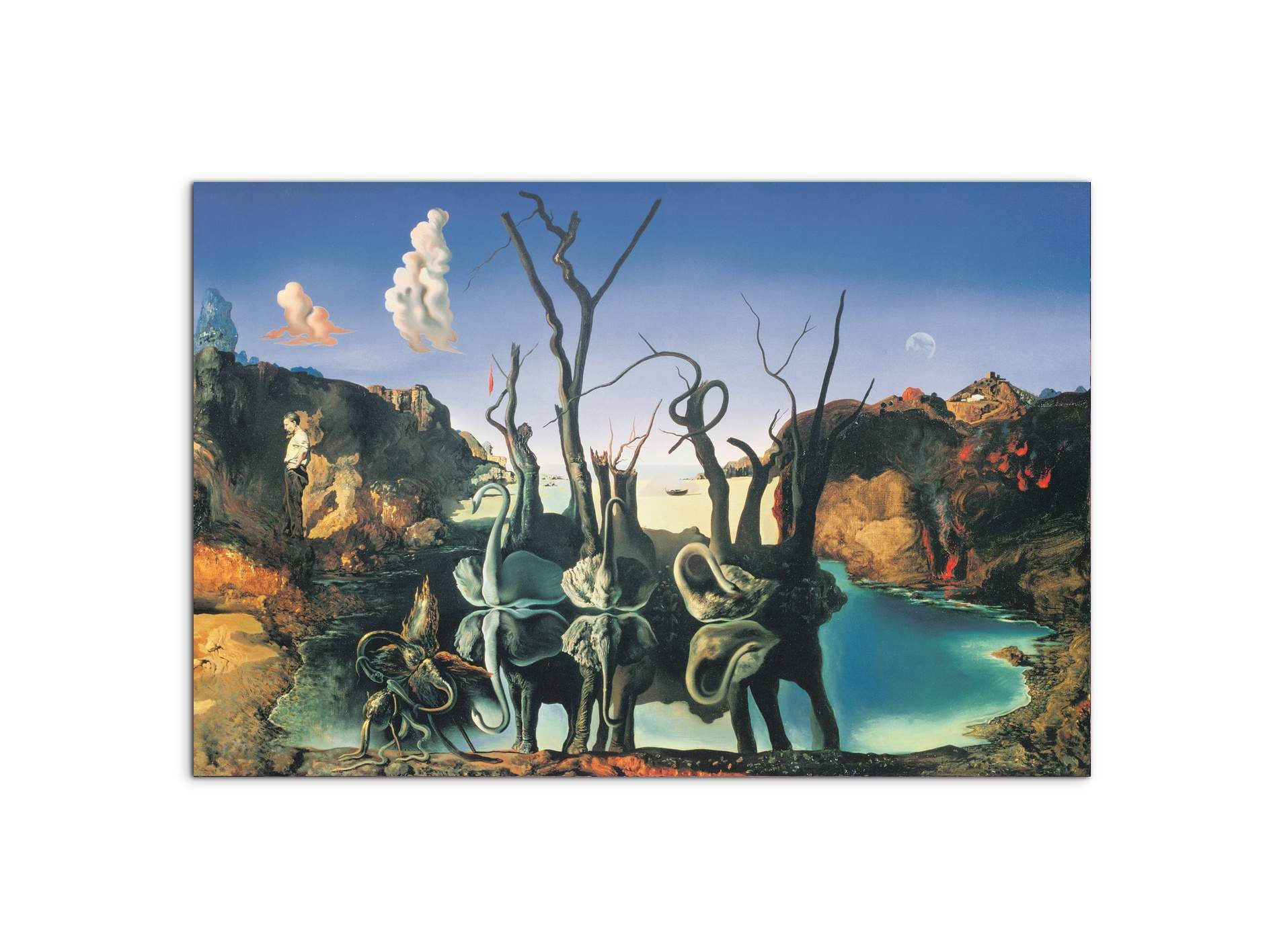 homage-to-salvadorec15135-