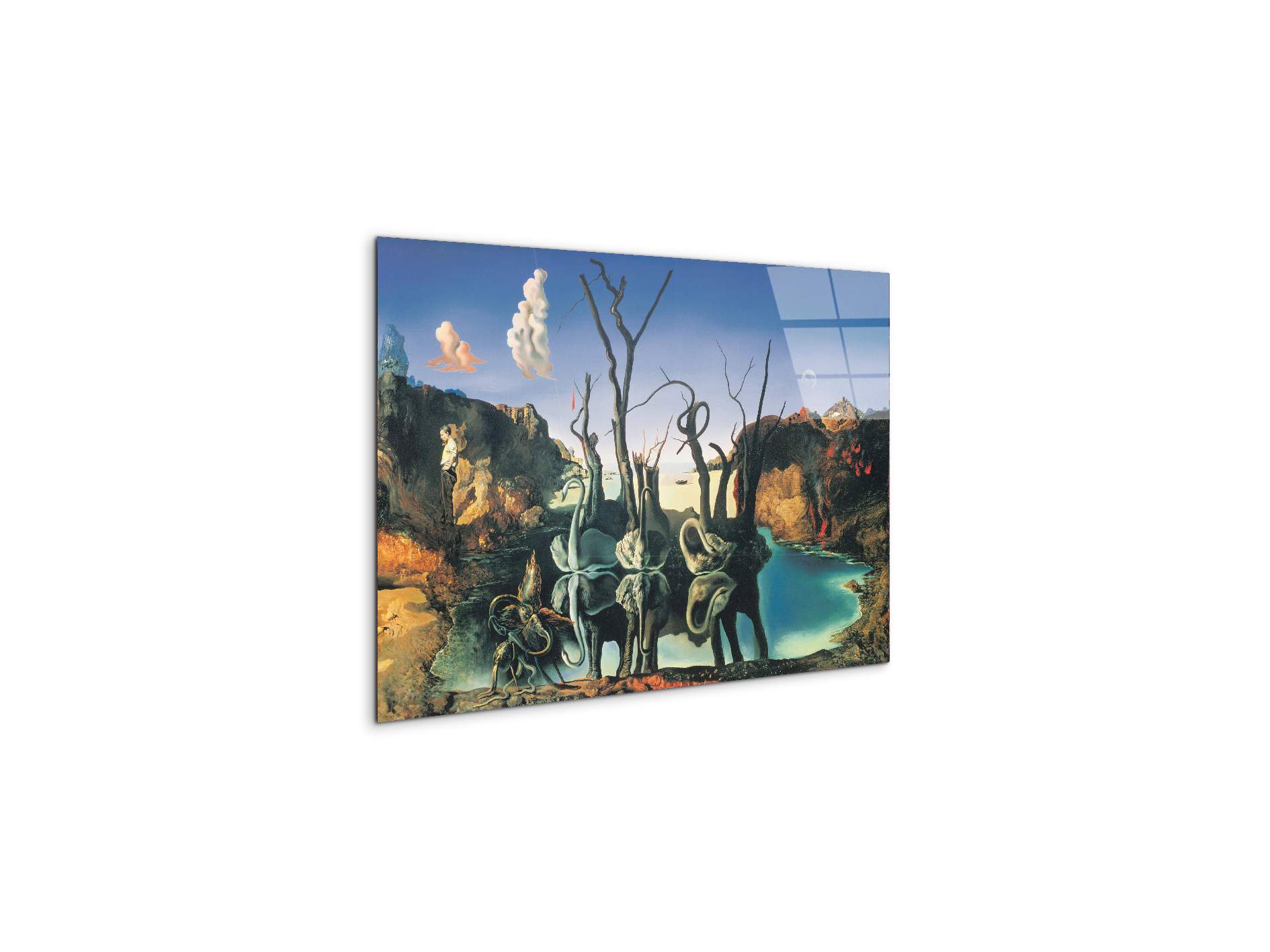 homage-to-salvadorec15135-