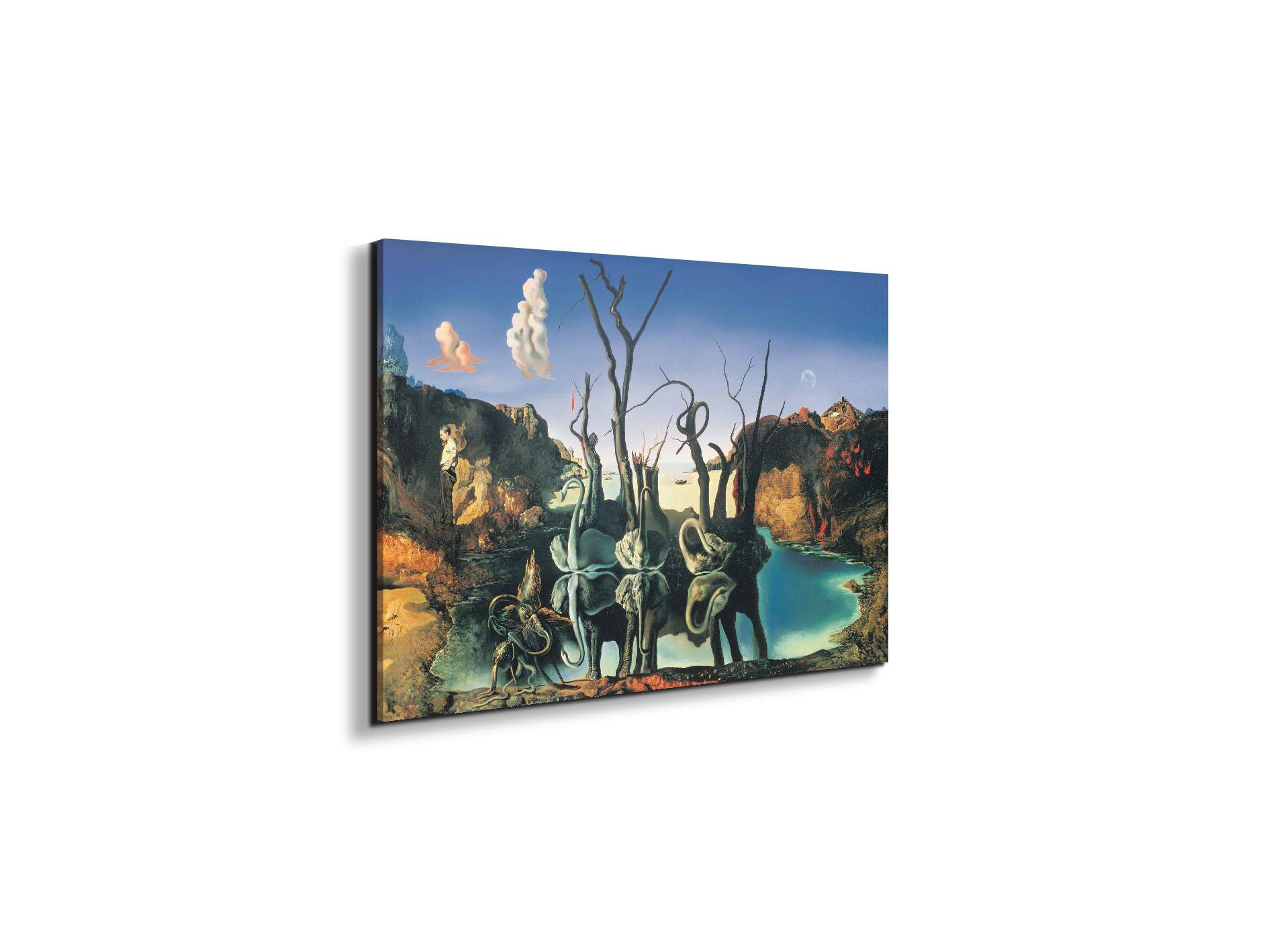 homage-to-salvadorec15135-