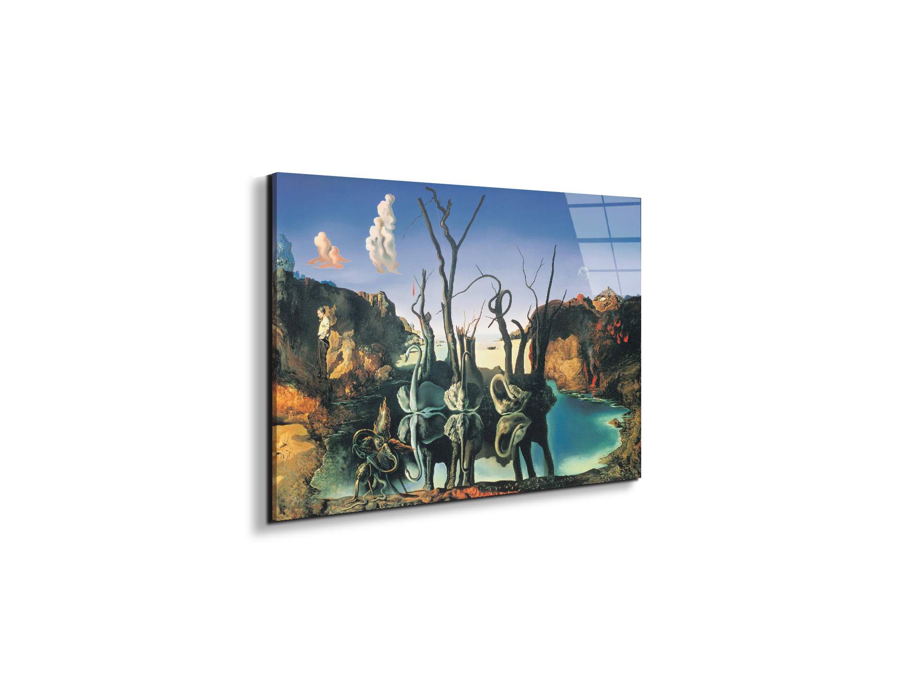 homage-to-salvadorec15135-