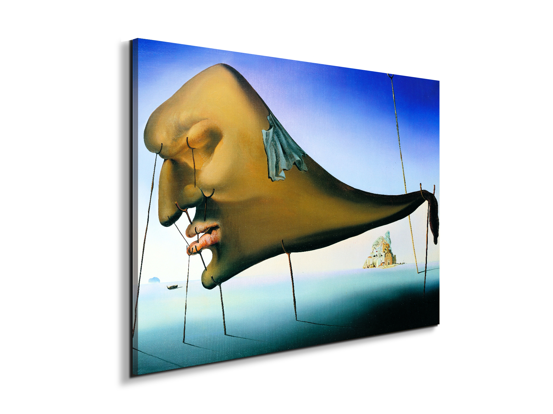homage-to-salvador-the-sleep-1937ec15136-
