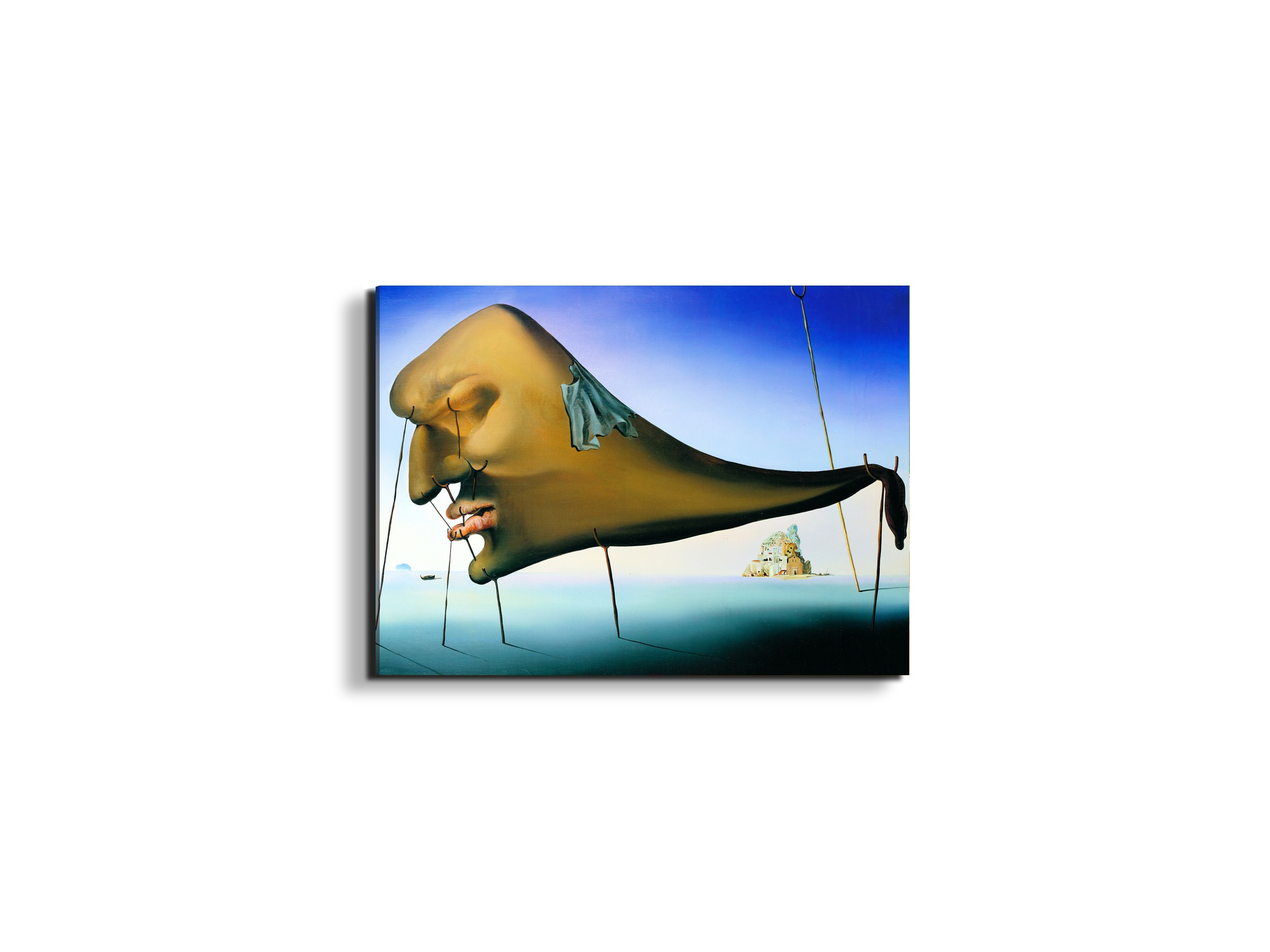homage-to-salvador-the-sleep-1937ec15136-