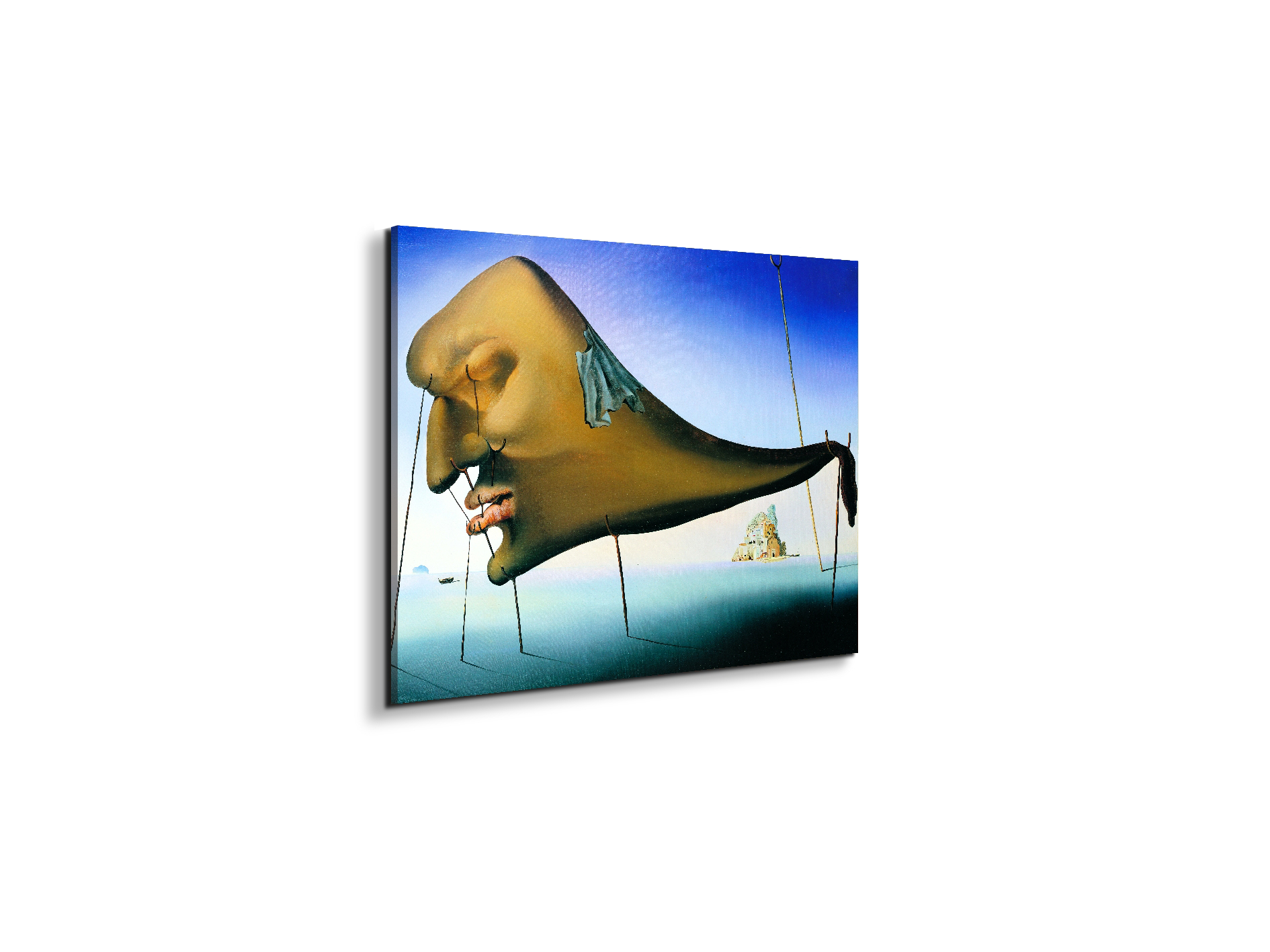 homage-to-salvador-the-sleep-1937ec15136-