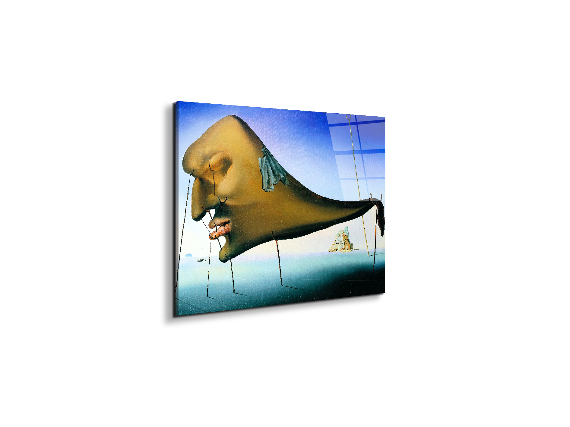 homage-to-salvador-the-sleep-1937ec15136-