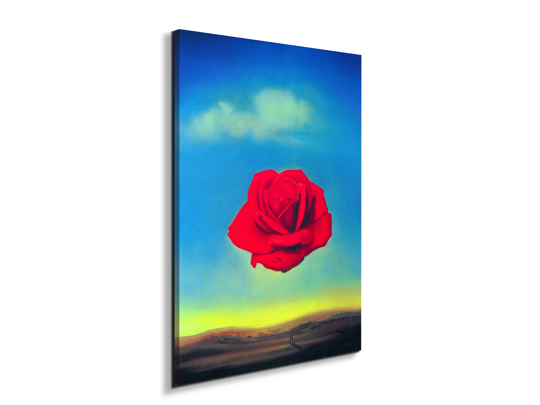 homage-to-salvador-thoughtful-rose-1958ec15144-