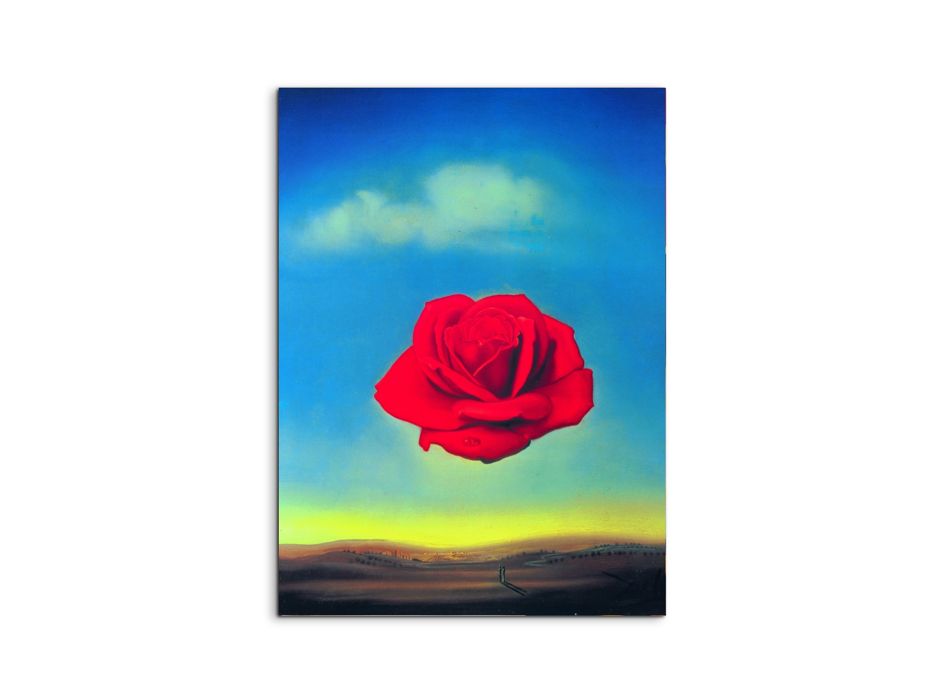 homage-to-salvador-thoughtful-rose-1958ec15144-