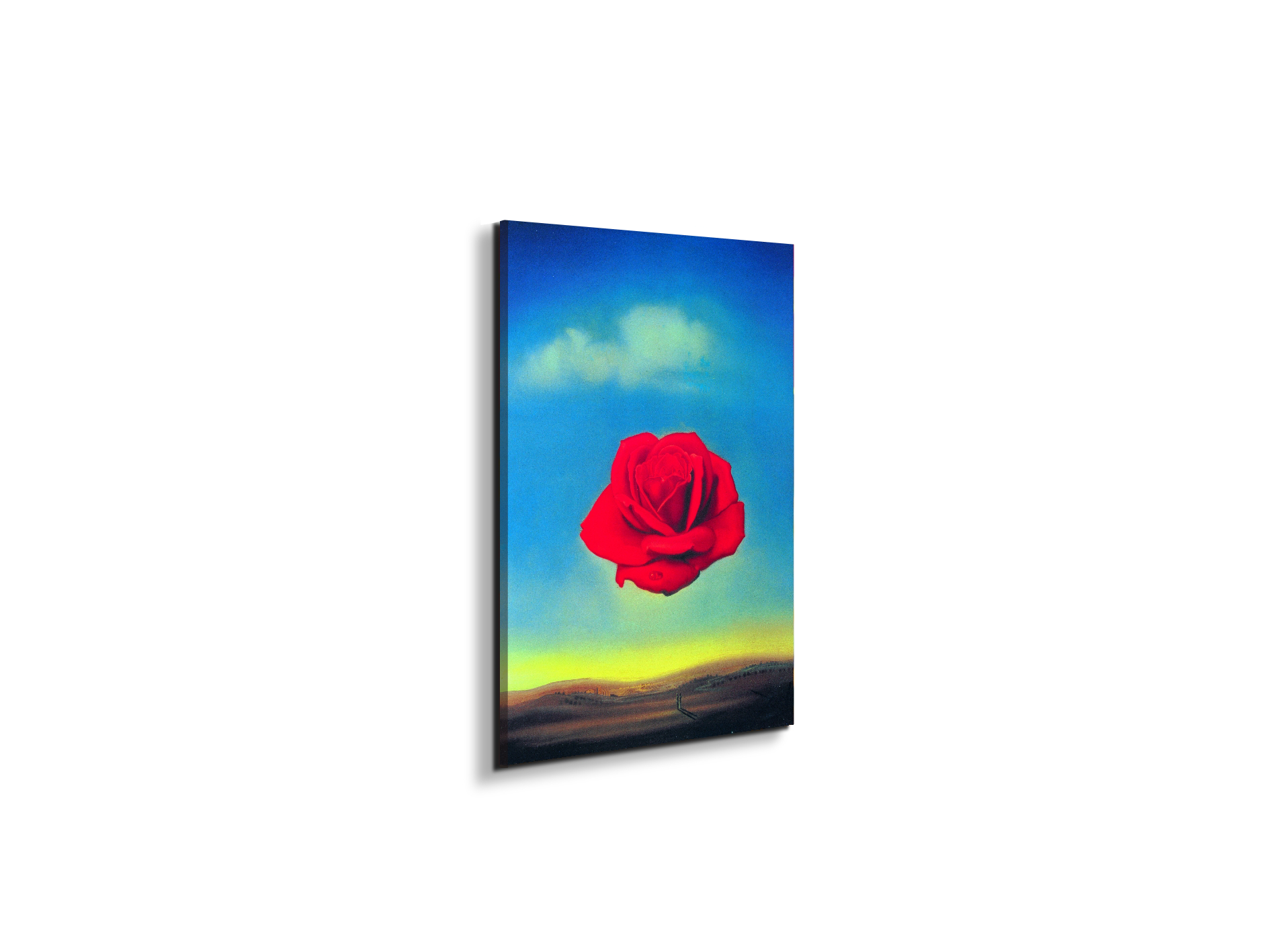 homage-to-salvador-thoughtful-rose-1958ec15144-