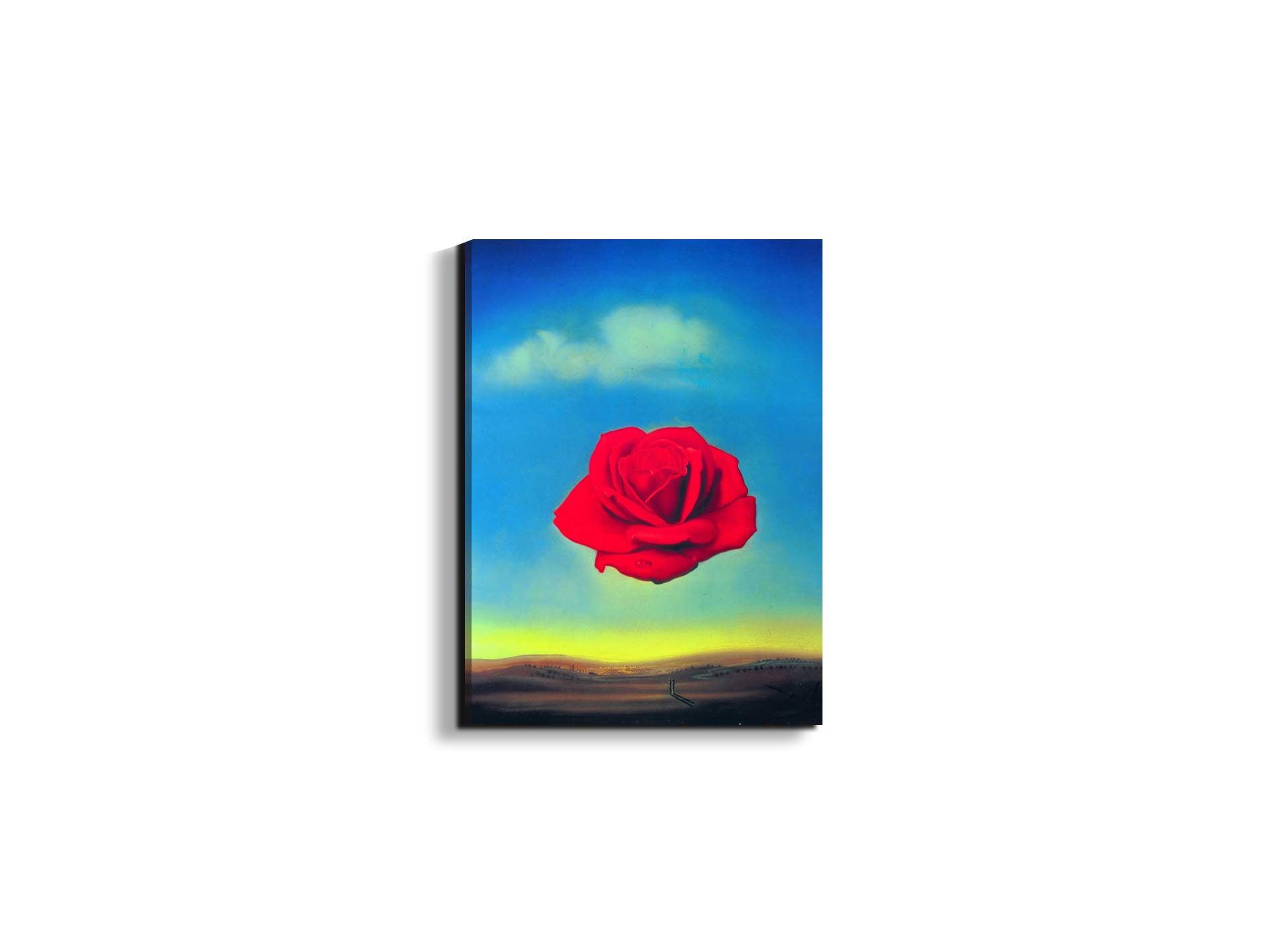 homage-to-salvador-thoughtful-rose-1958ec15144-