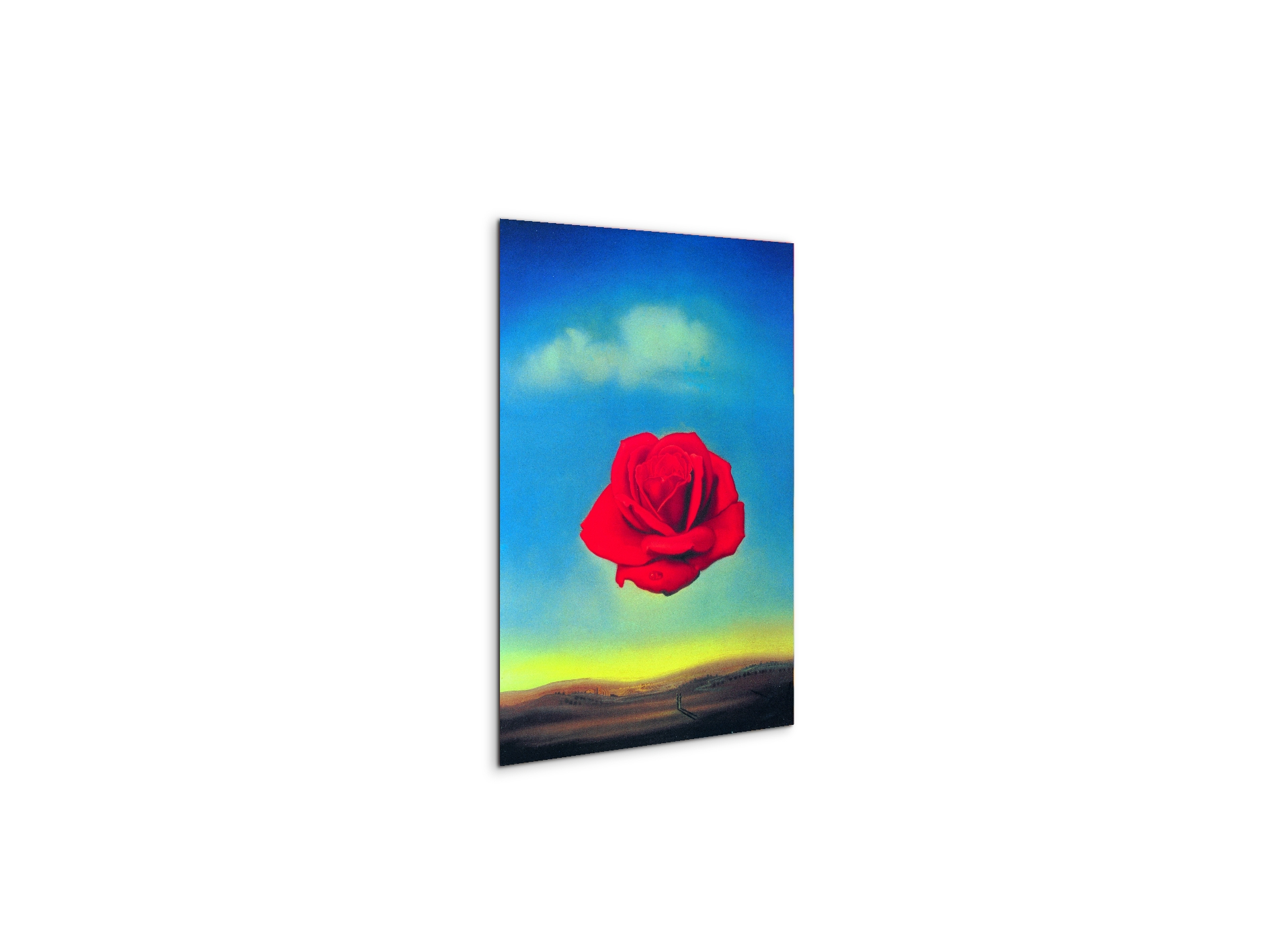 homage-to-salvador-thoughtful-rose-1958ec15144-