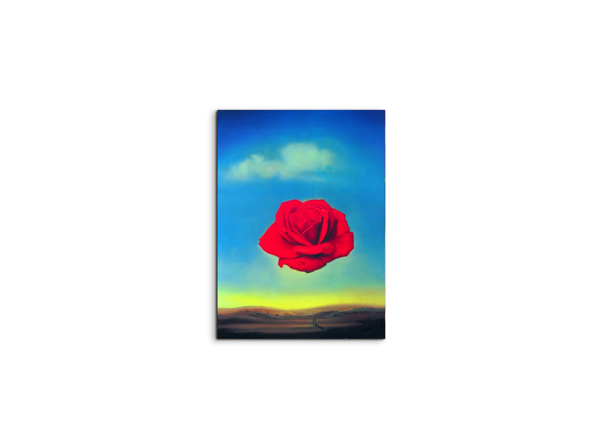 homage-to-salvador-thoughtful-rose-1958ec15144-