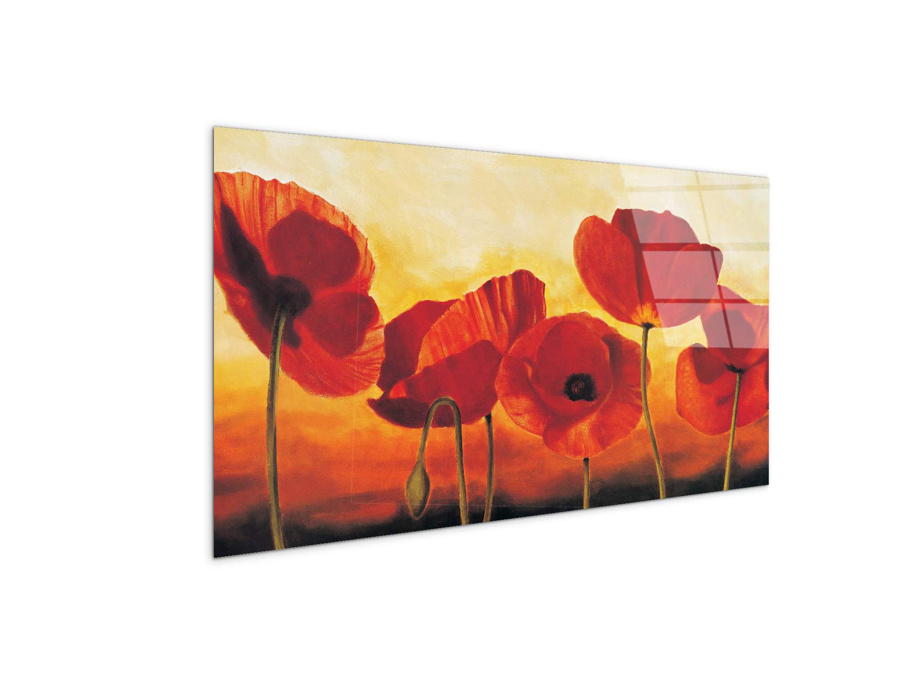 red-poppiesec16041-