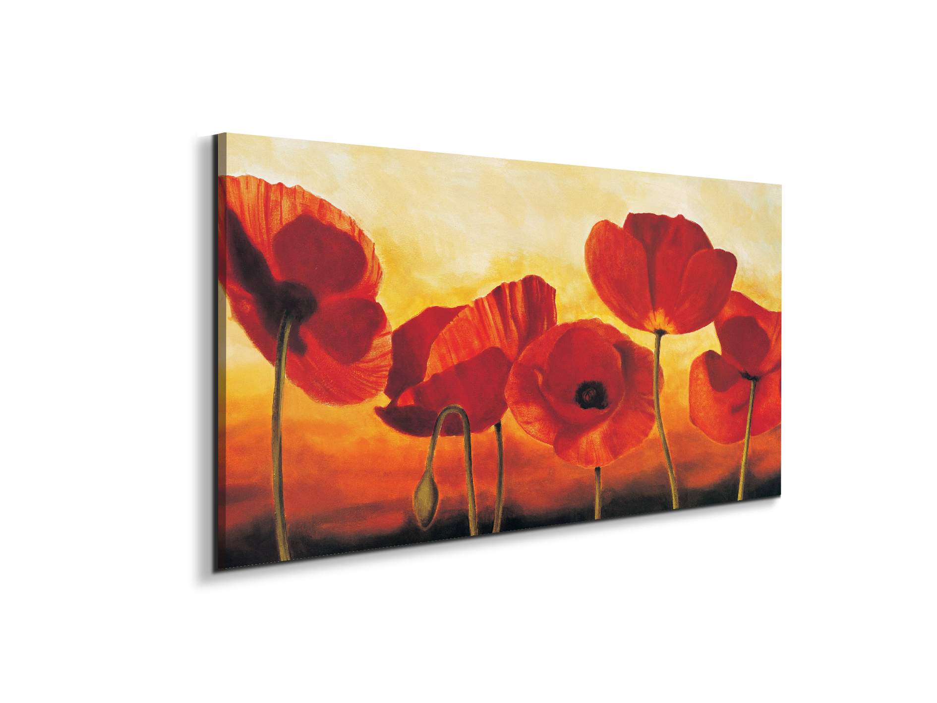 red-poppiesec16041-