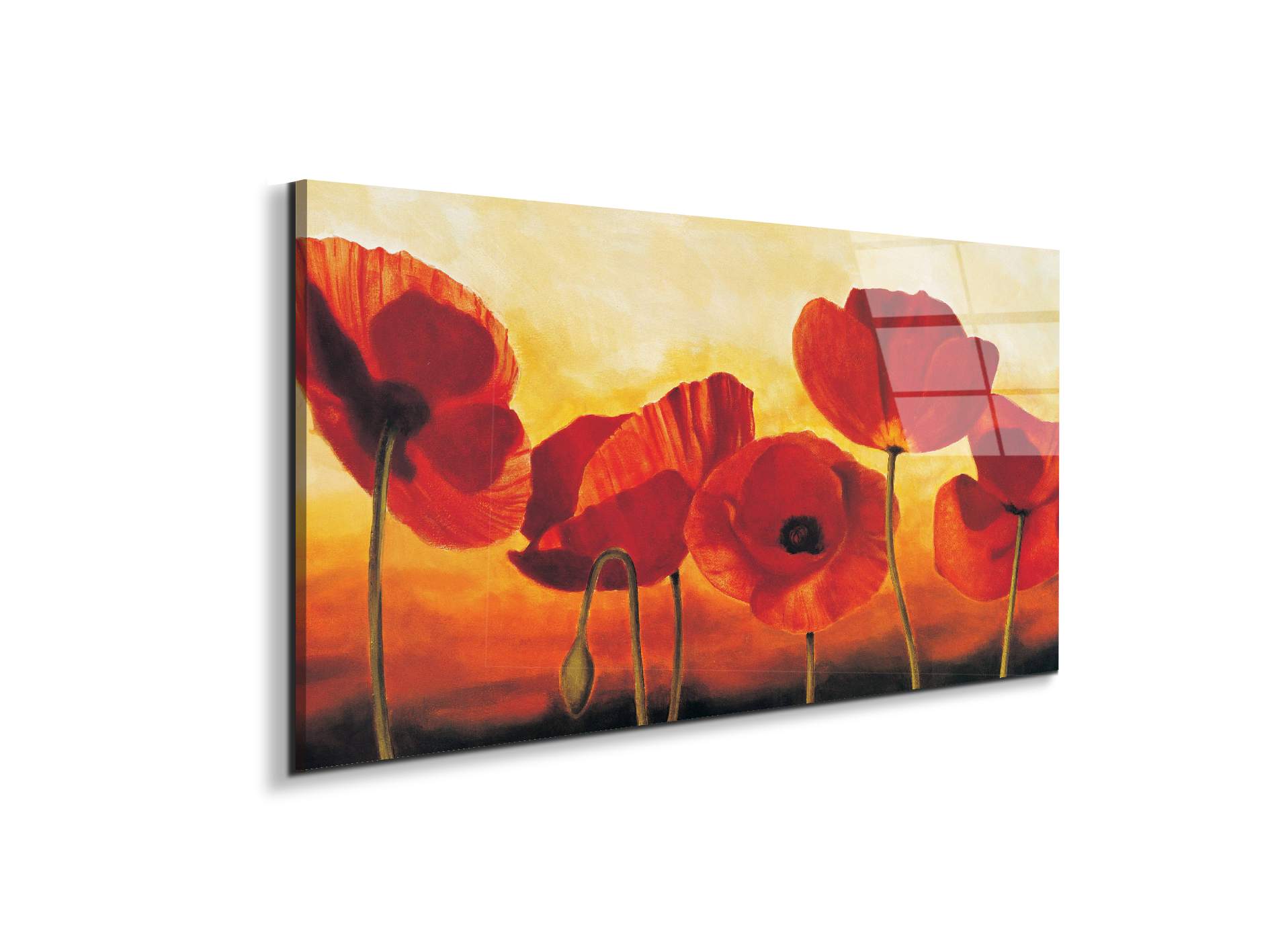 red-poppiesec16041-