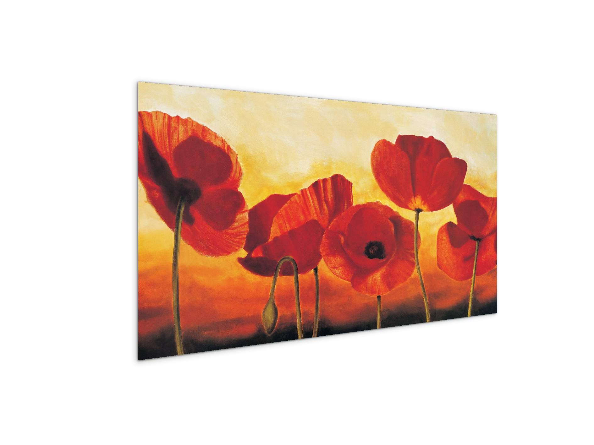 red-poppiesec16041-