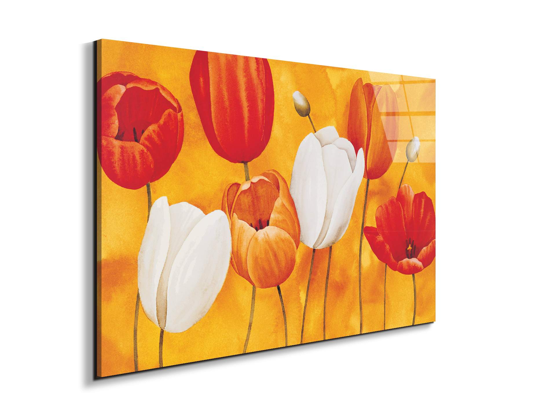 tulips-orangeec16450-