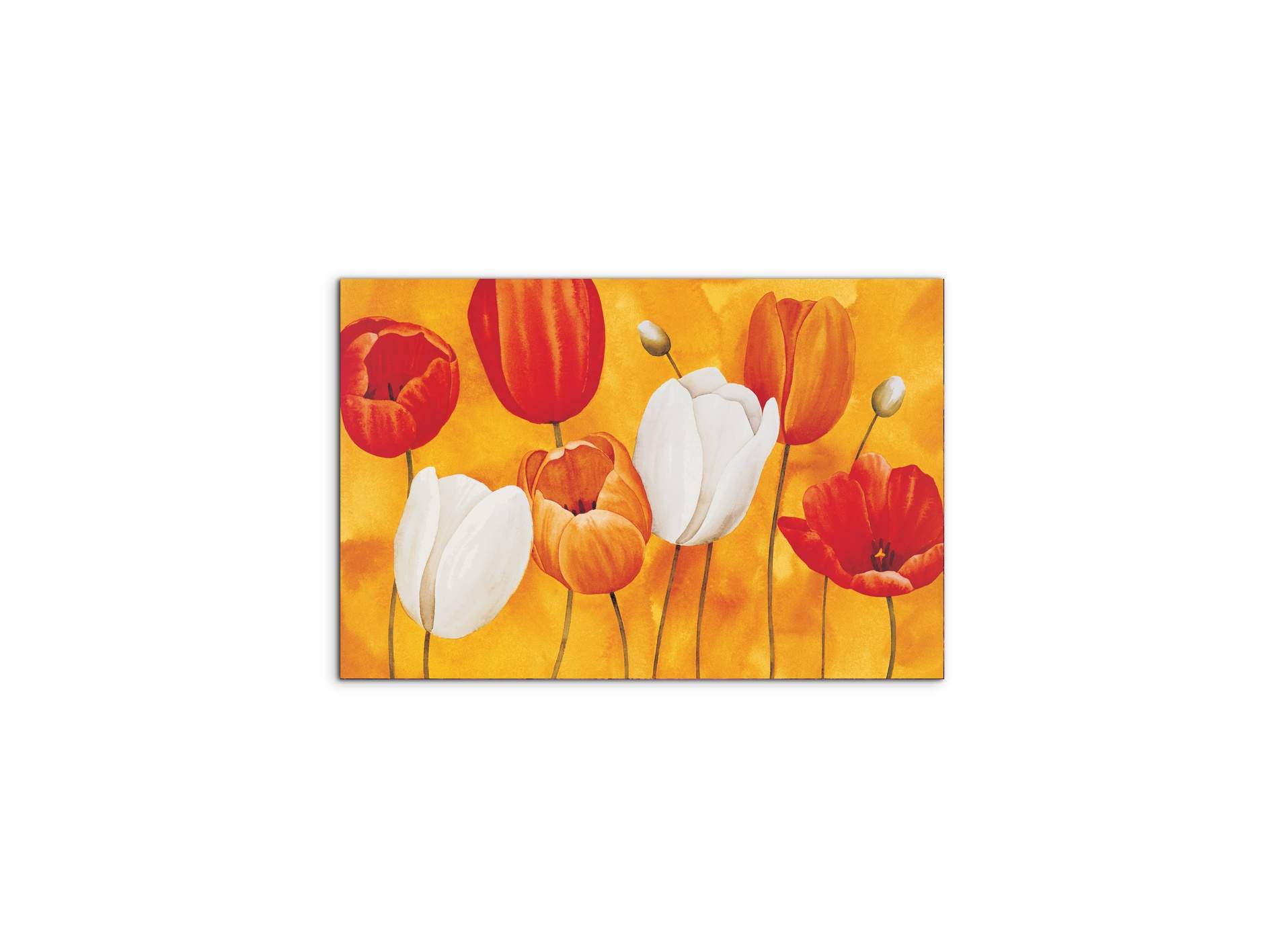 tulips-orangeec16450-