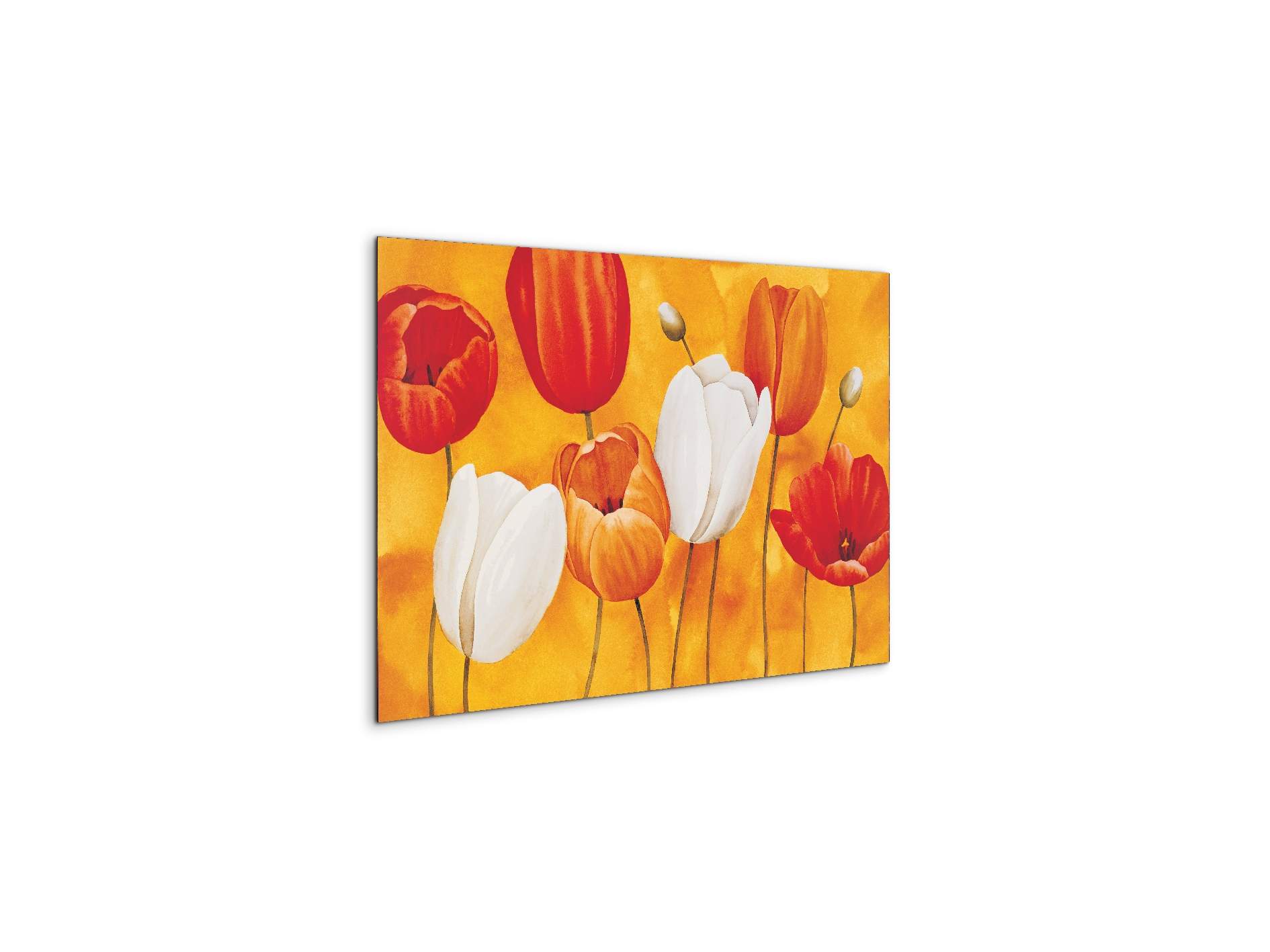 tulips-orangeec16450-