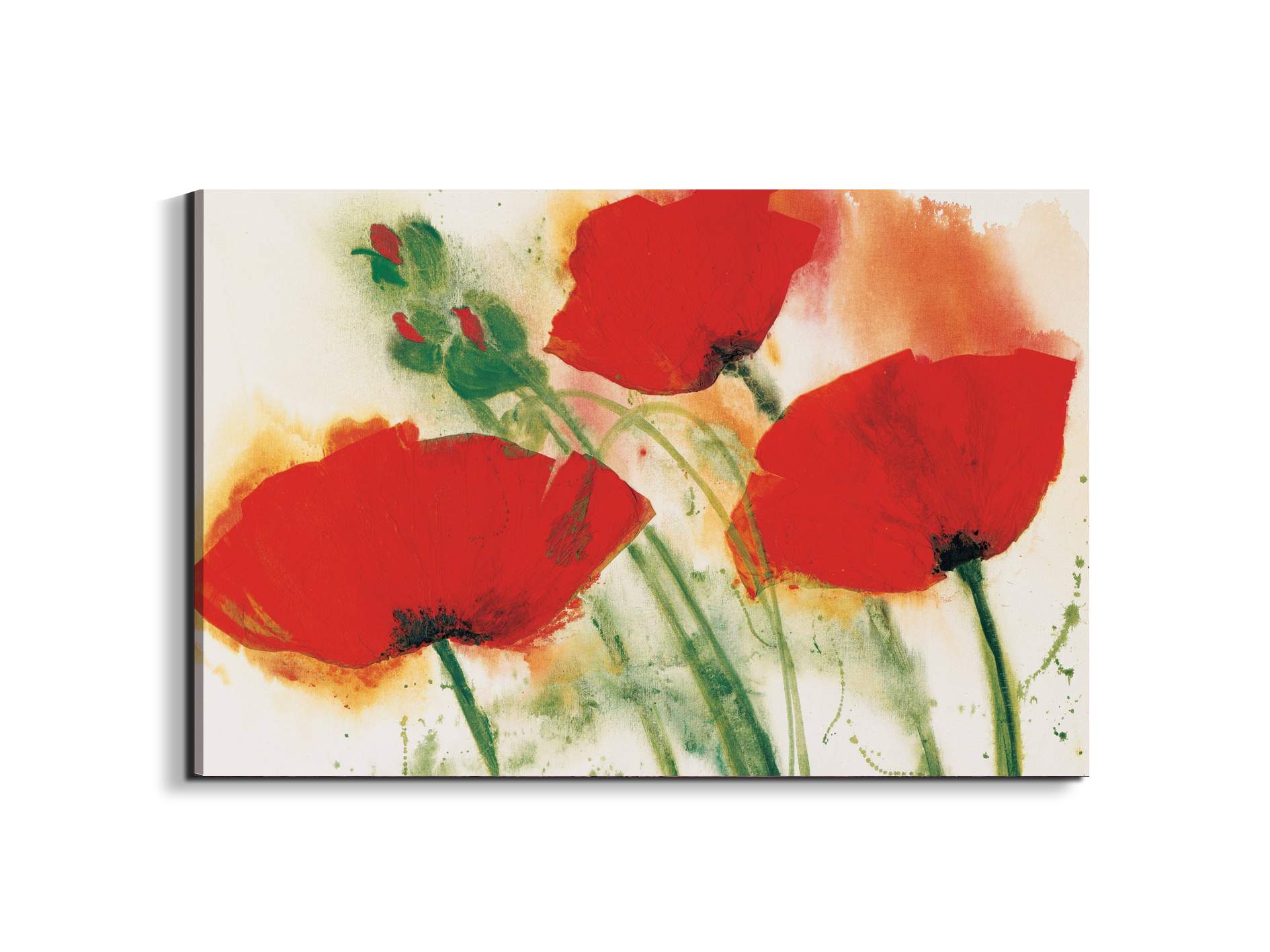 poppies-threeec16655-