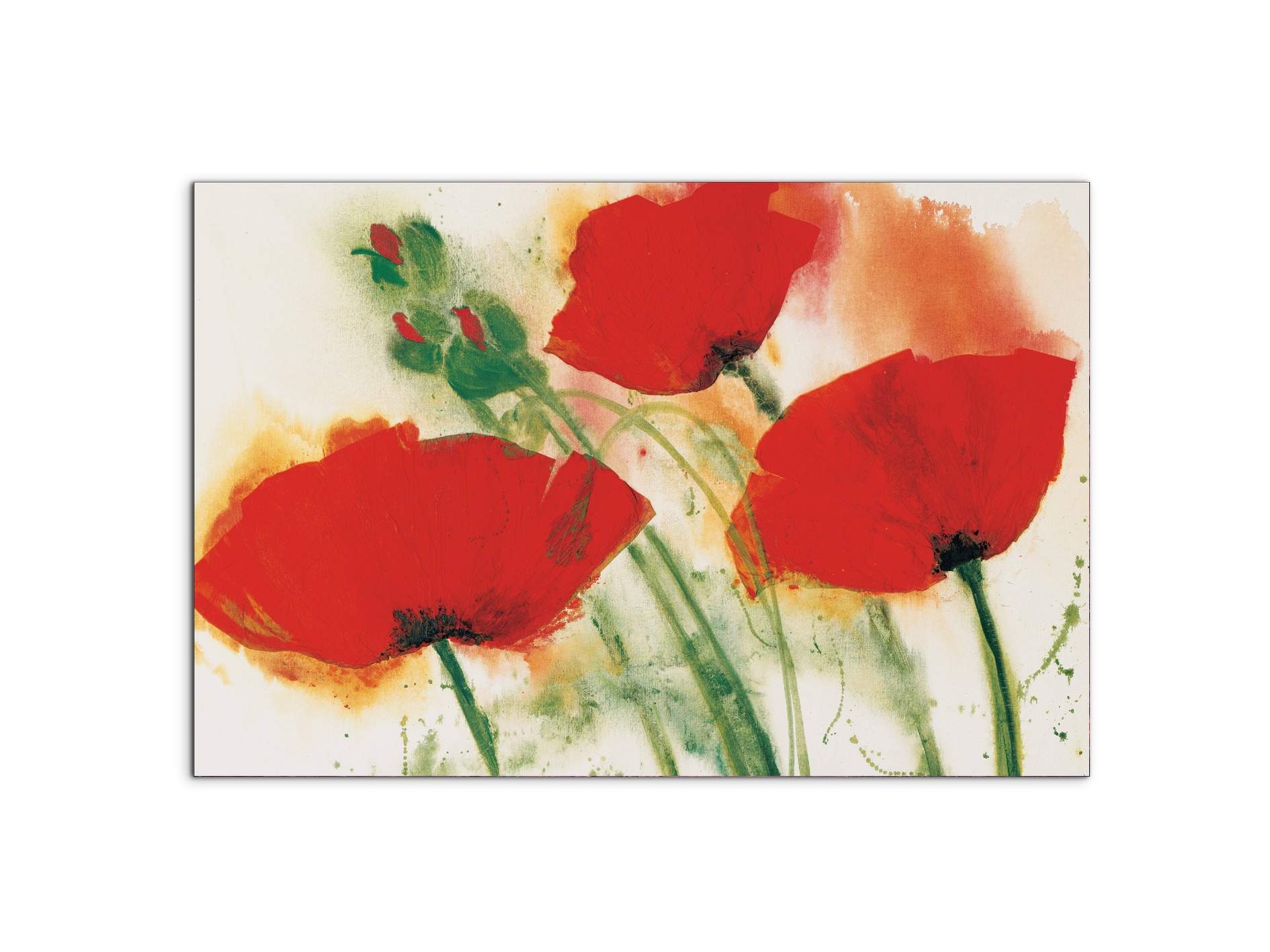 poppies-threeec16655-
