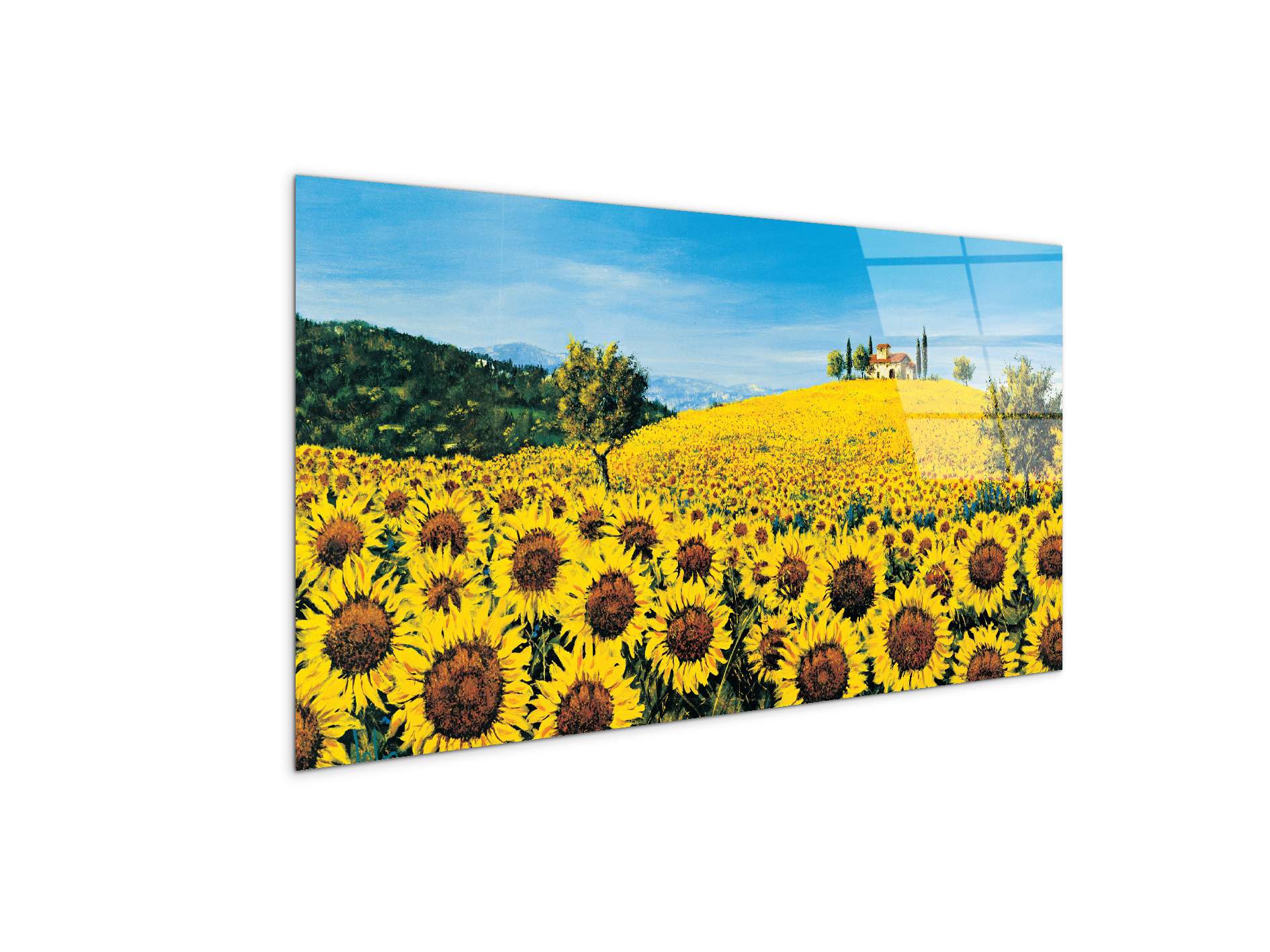 sunflowersec16675-