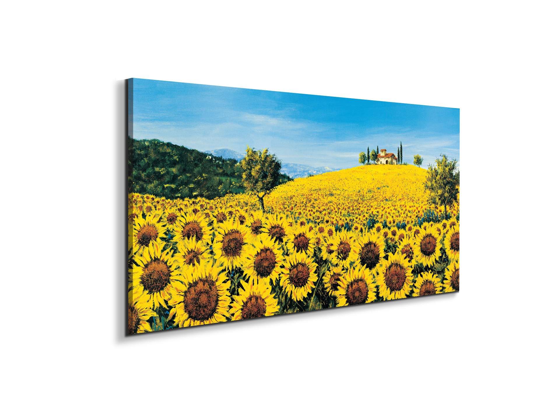 sunflowersec16675-